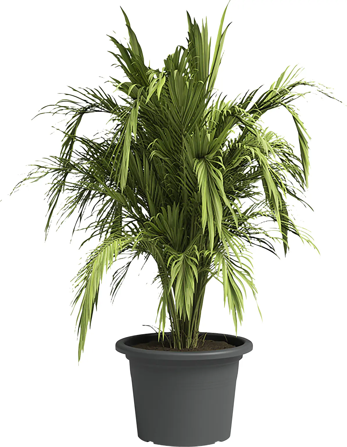 Artevasi Pflanztopf Venezia Cilindro Kunststoff anthrazit matt Ø 35 x 25 cm