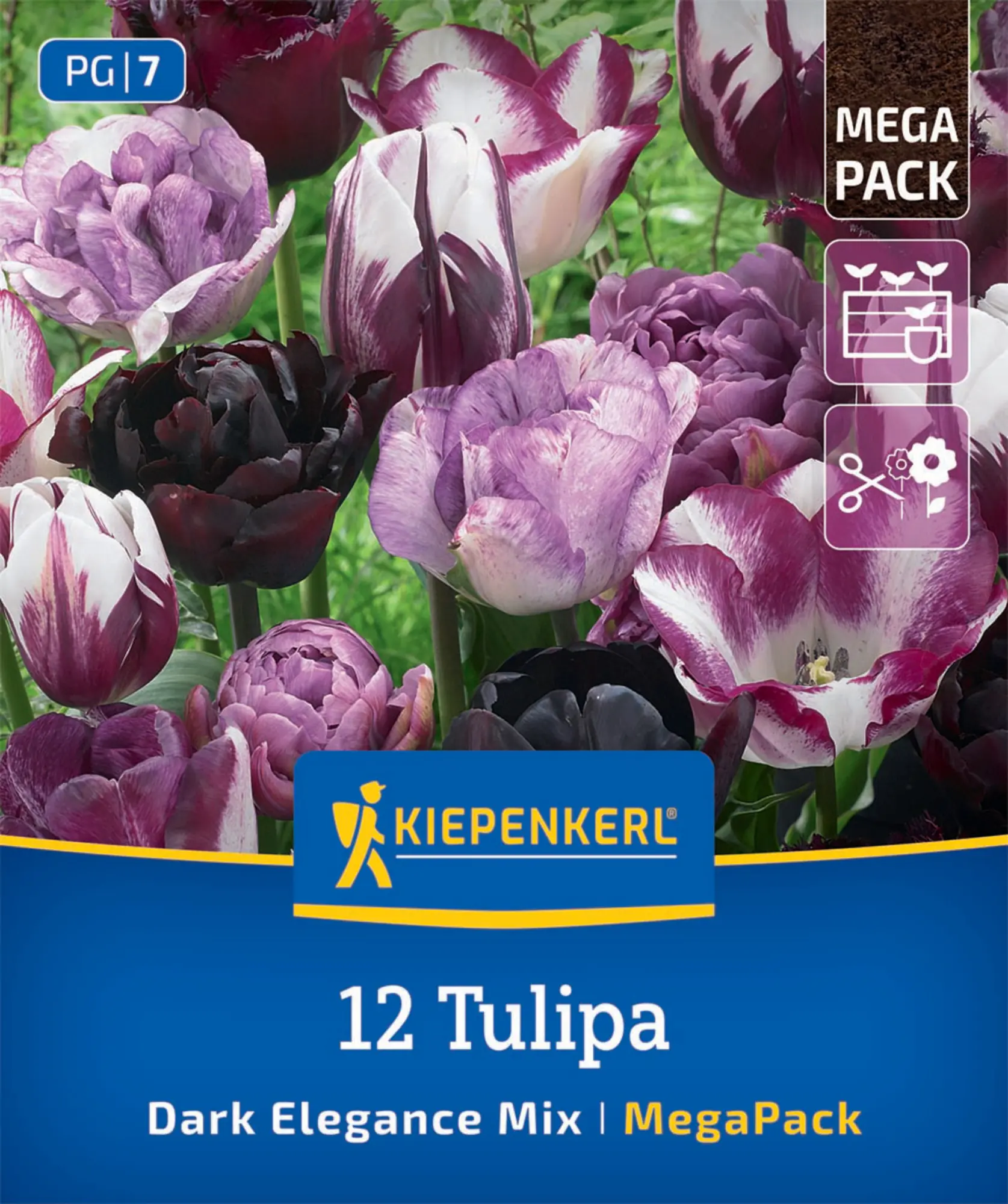 Kiepenkerl Herbstblumenzwiebel Artenmischung Dark Elegance Mix 12 Stück