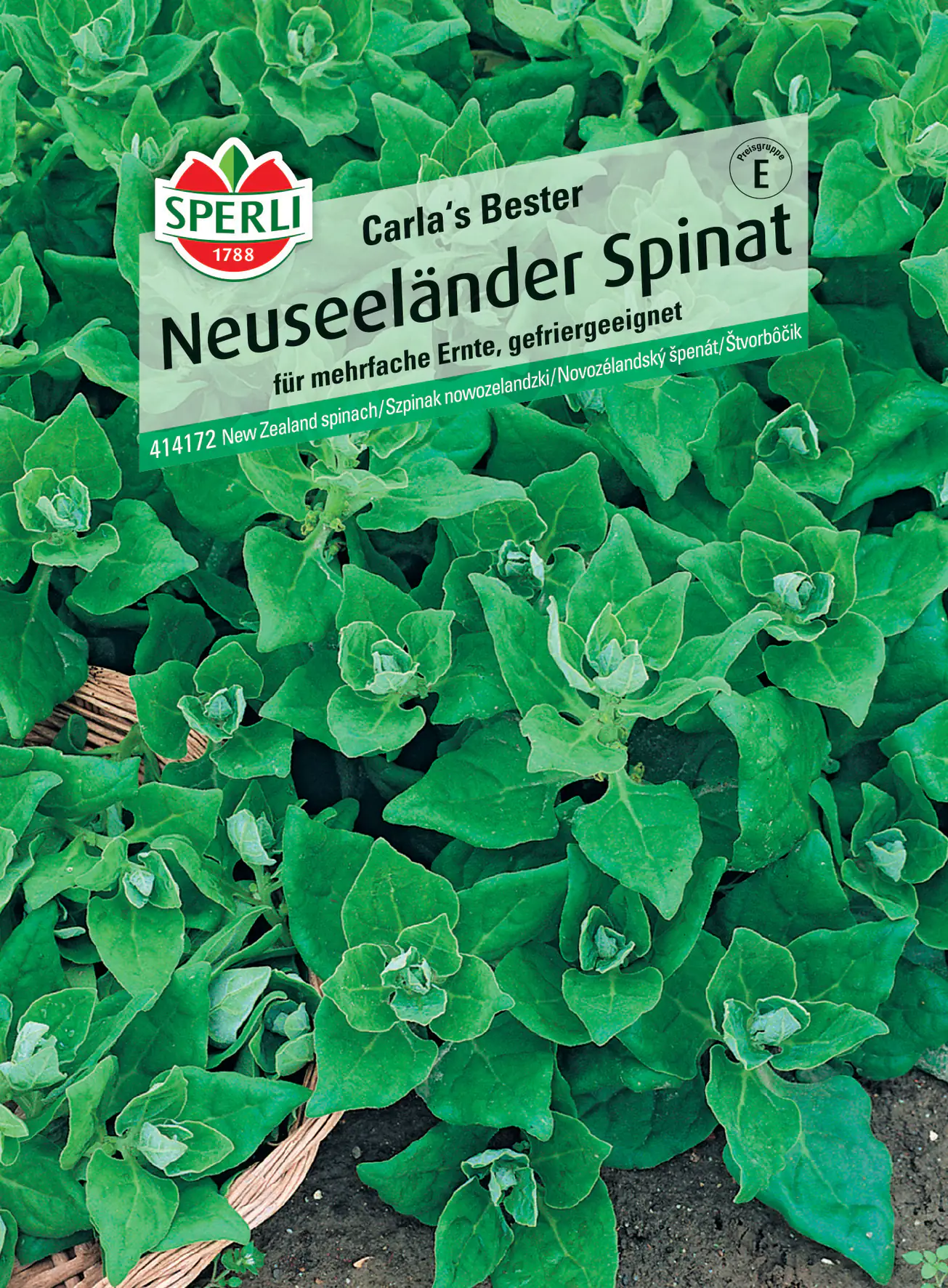 Sperli Neuseeländer Spinat Carla's Bester