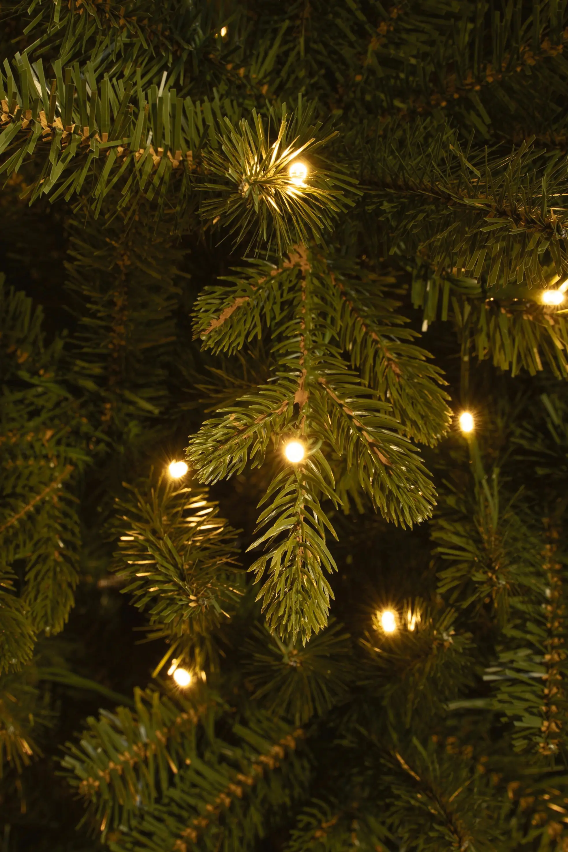 Black Box Trees Weihnachtsbaum Harma Pilar beleuchtet mit Timer 185 cm grün