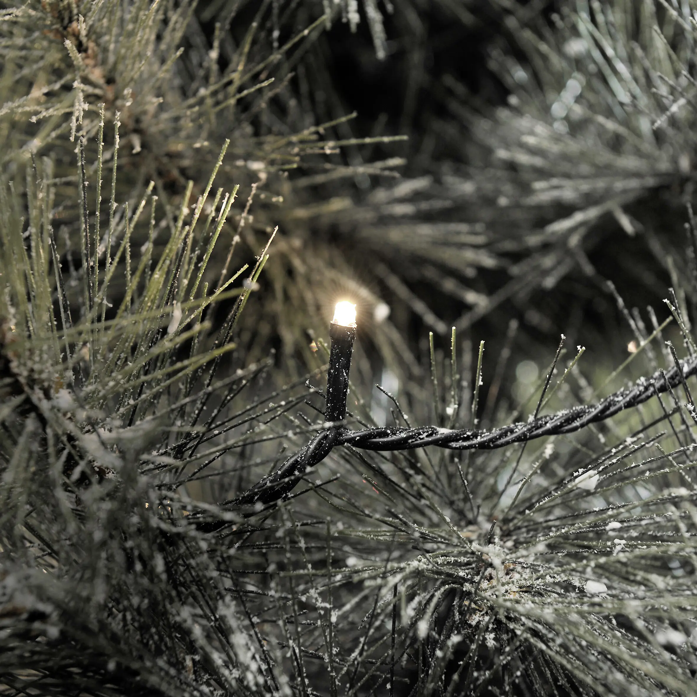 Konstsmide LED-Lichterkette Außen 22,64 m warmweiß