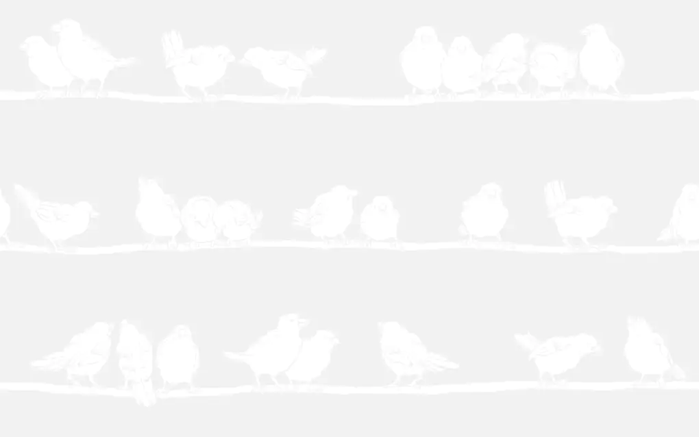 d-c-fix Folie Static Premium Filippa 45 cm x 1,5 m