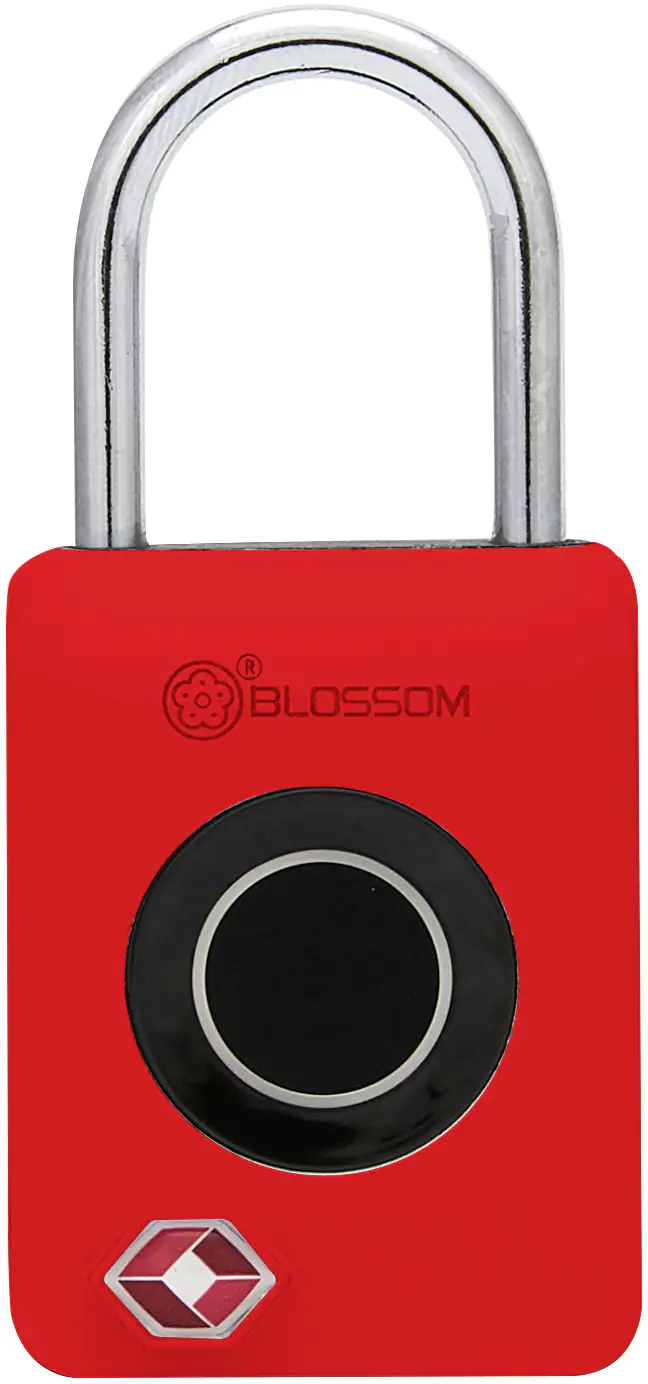 Südmetall Vorhängeschloss mit Fingerabdruck-Scan 30 x 18 mm