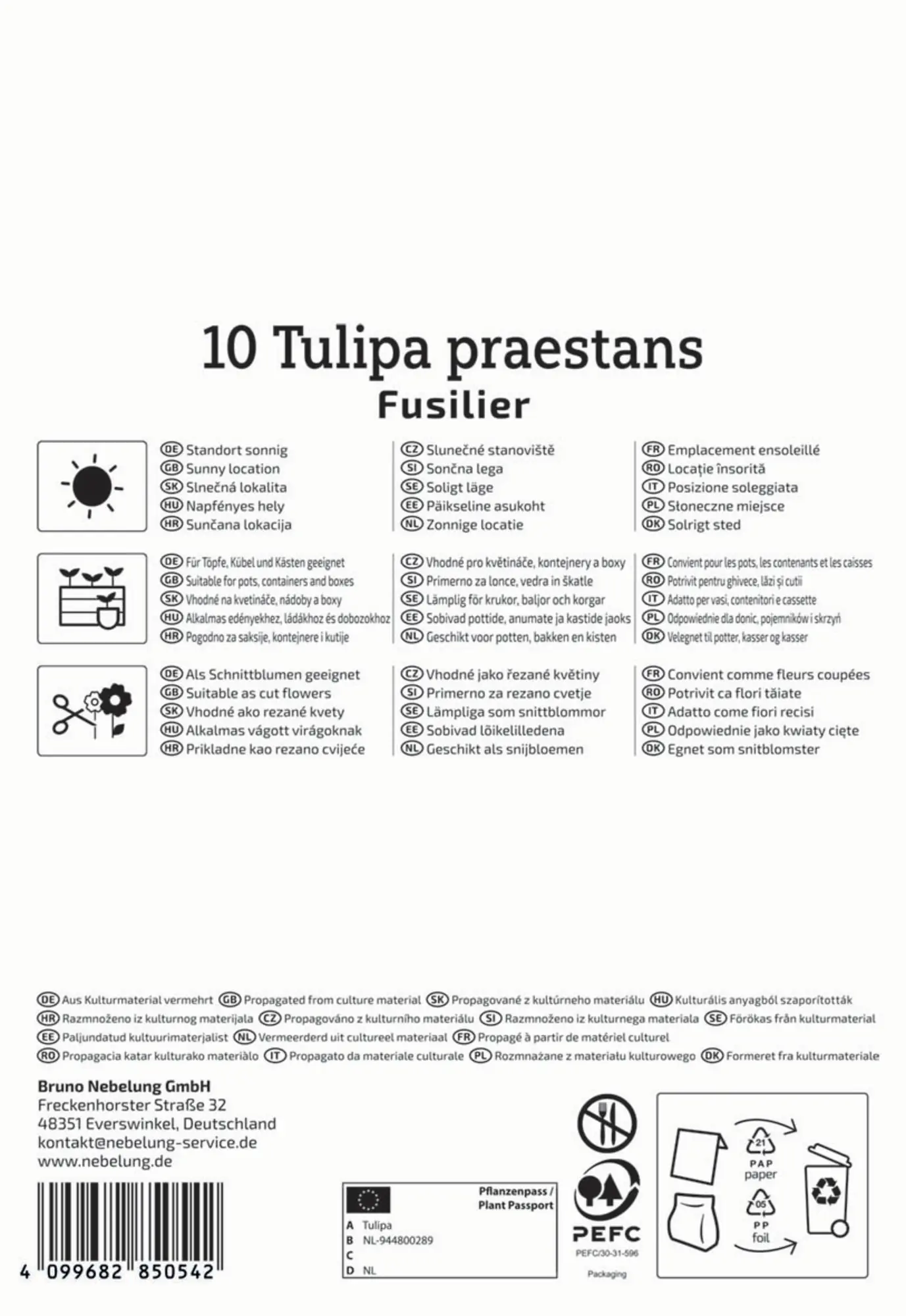 Kiepenkerl Herbstblumenzwiebel Wildtulpe Fusilier 10 Pflanzen