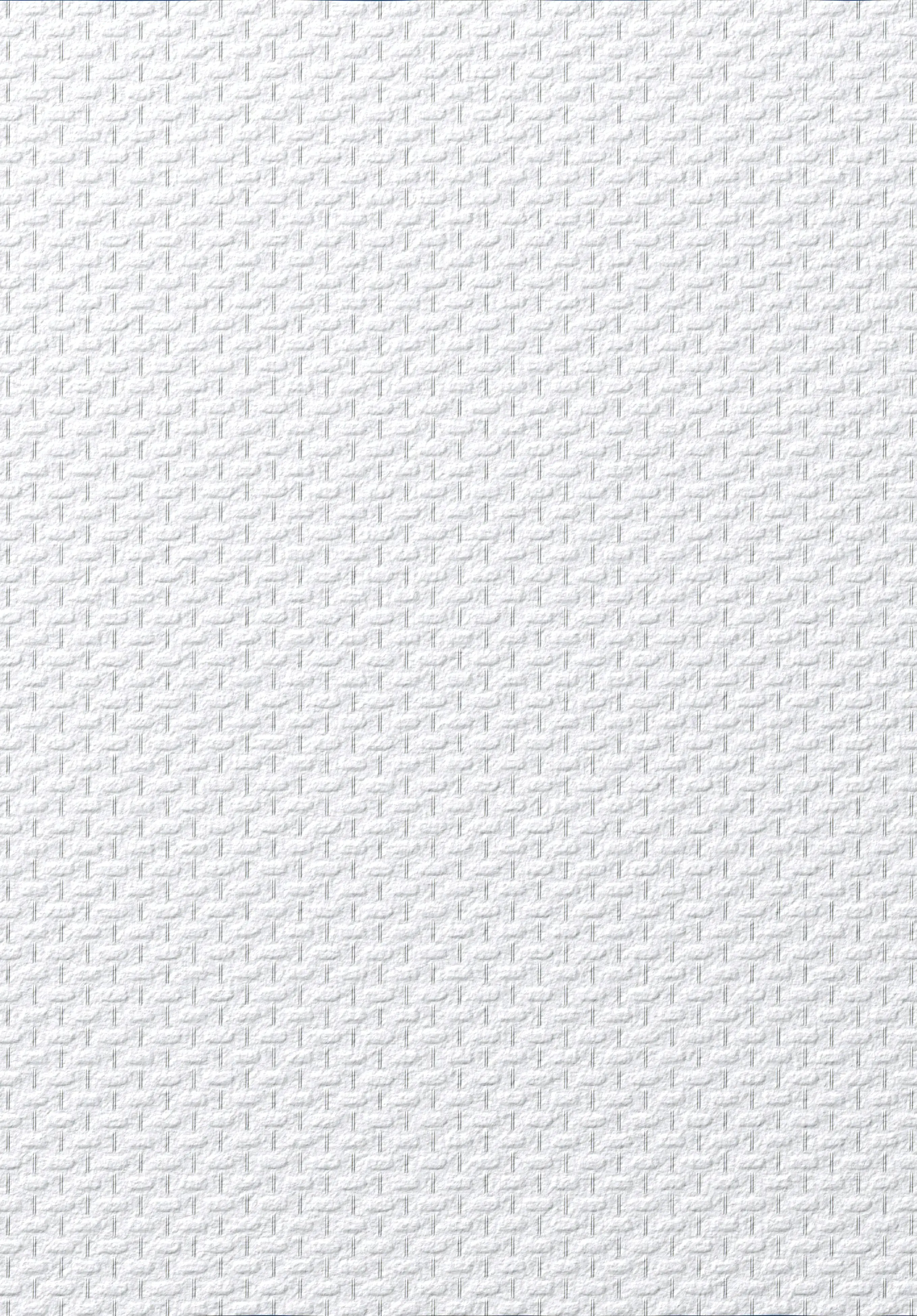 Erismann Glasfasertapete uni weiß 25 x 1 m  beige