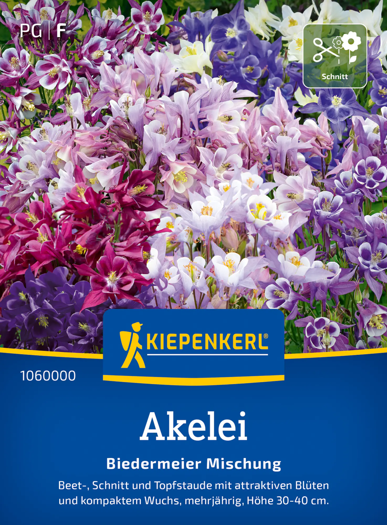 Kiepenkerl Blumensamen Alkelei Biedermeier Mischung für ca. 50 Pflanzen