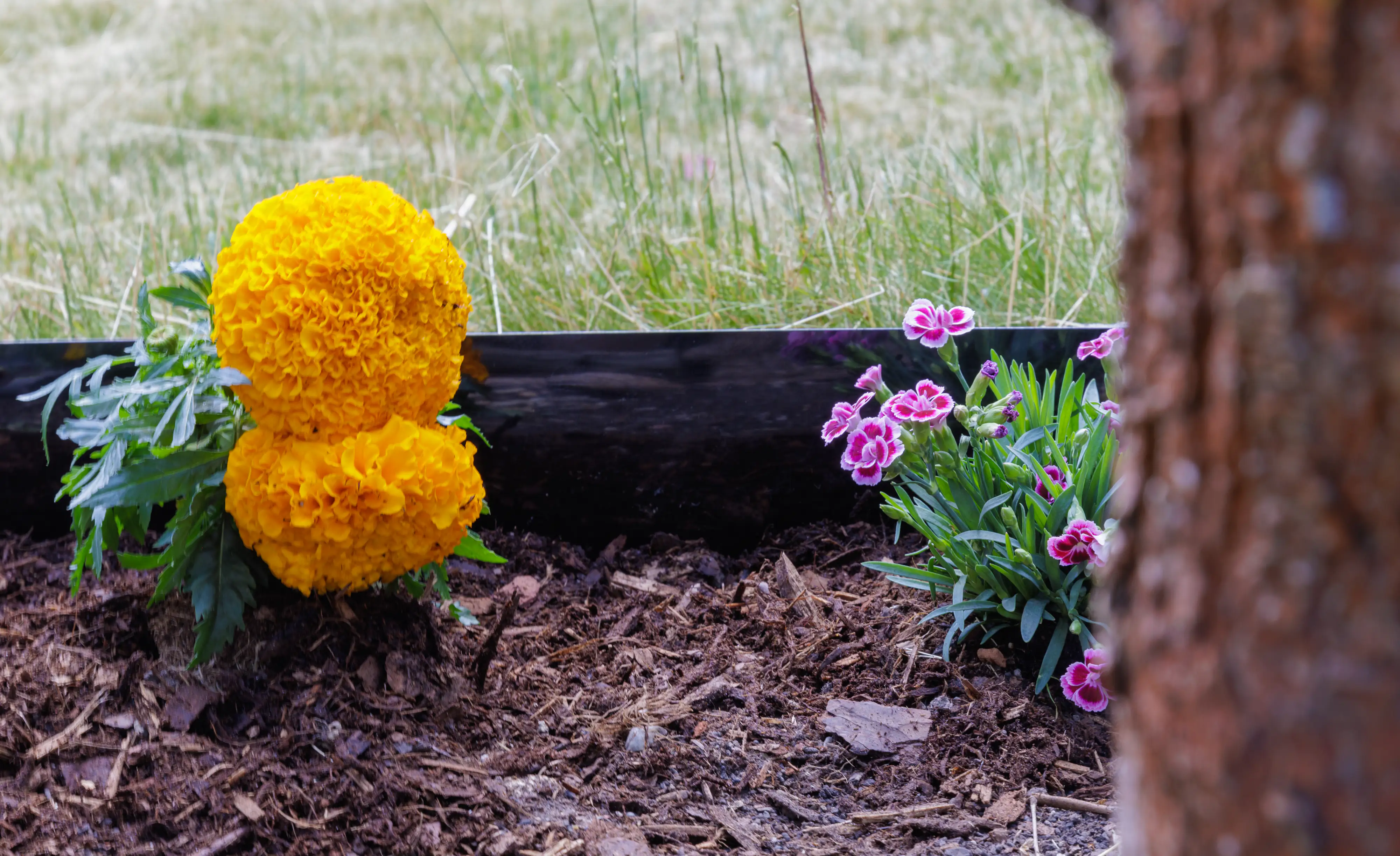 Premium Garden Gestaltungskante 0,2 x 6 m