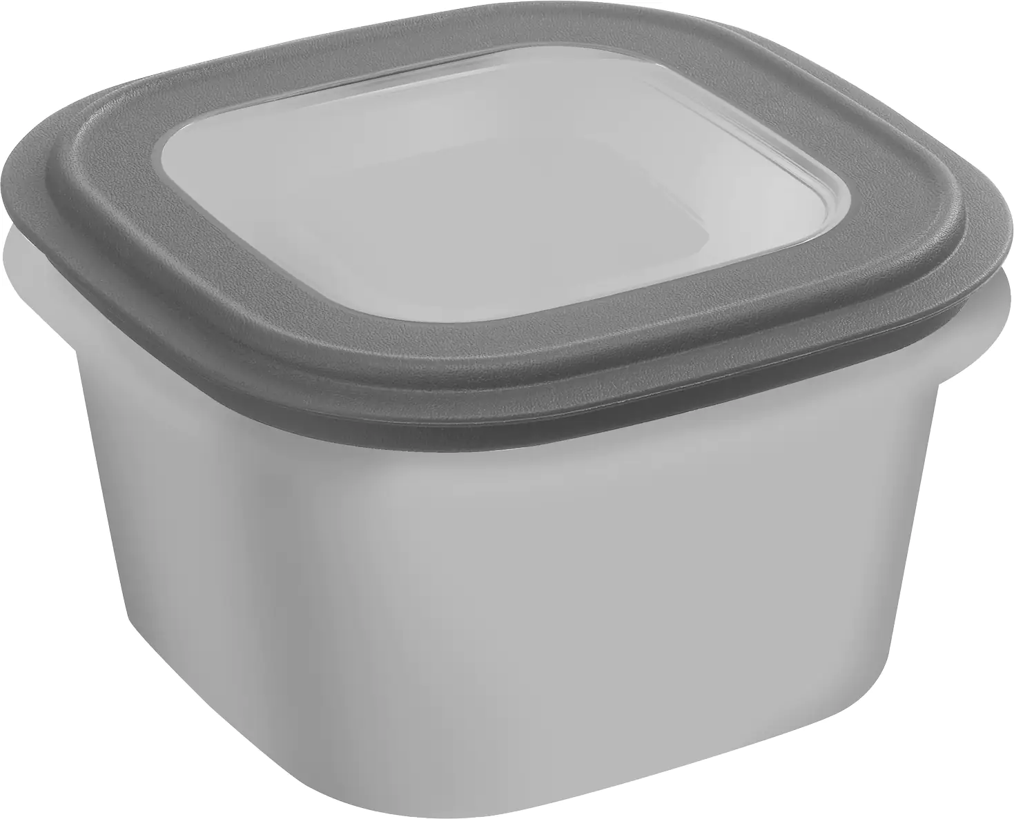 Sunware Frischhaltedose Sigma Home 1,8 L grau