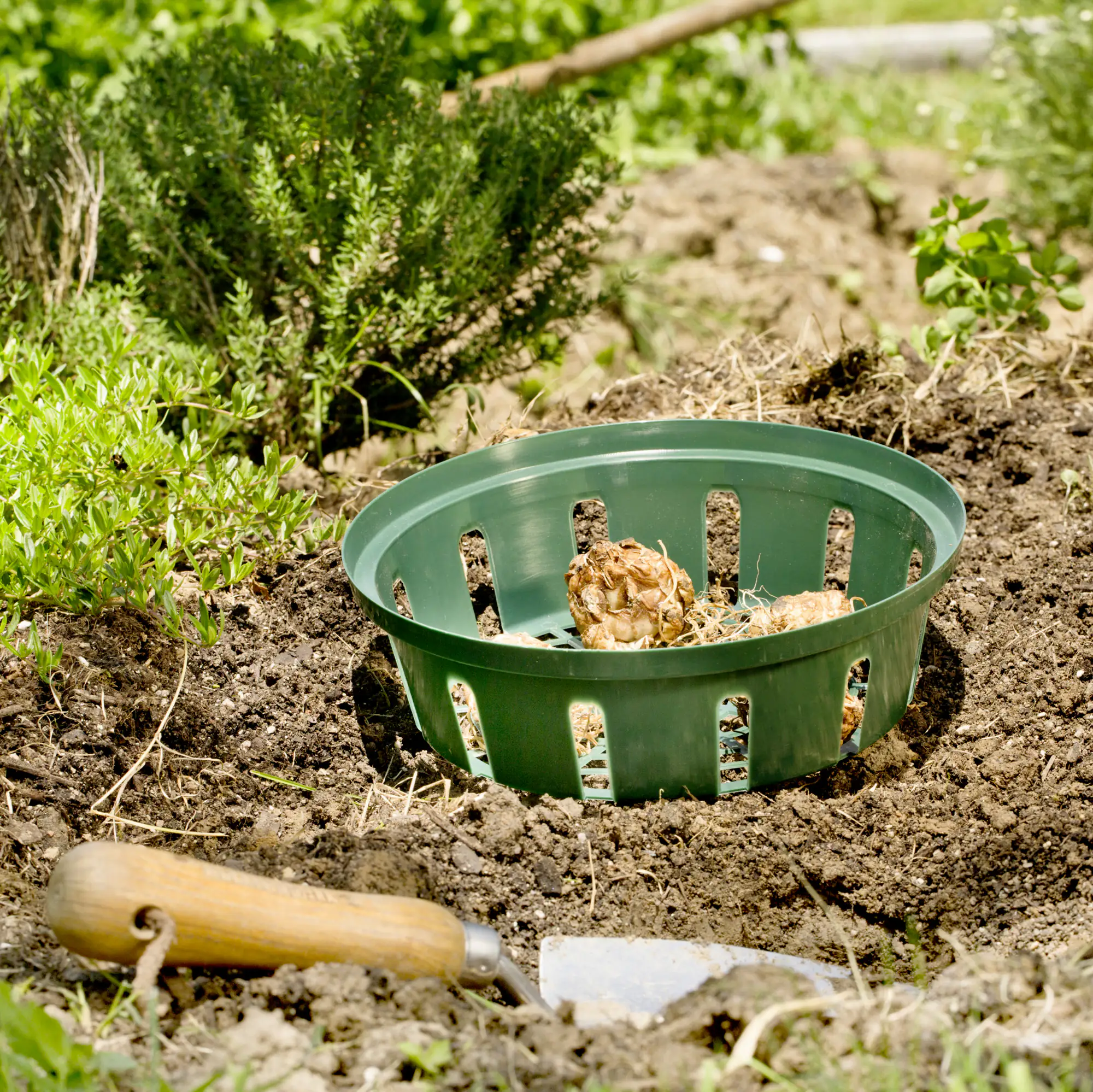 Windhager Pflanzschale Ø 22 cm, 3 Stück