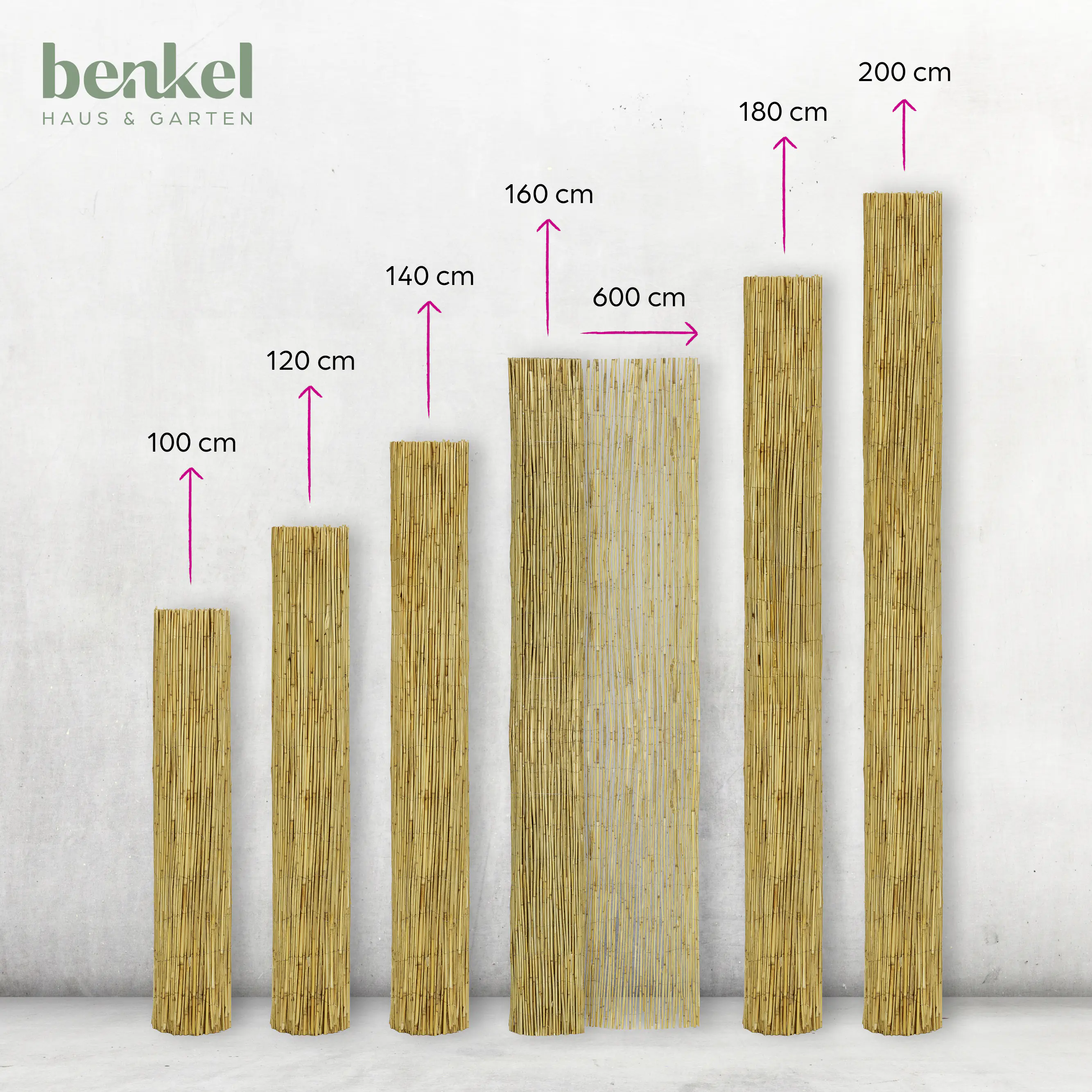 Schilfrohrmatte 1,6 x 6 m
