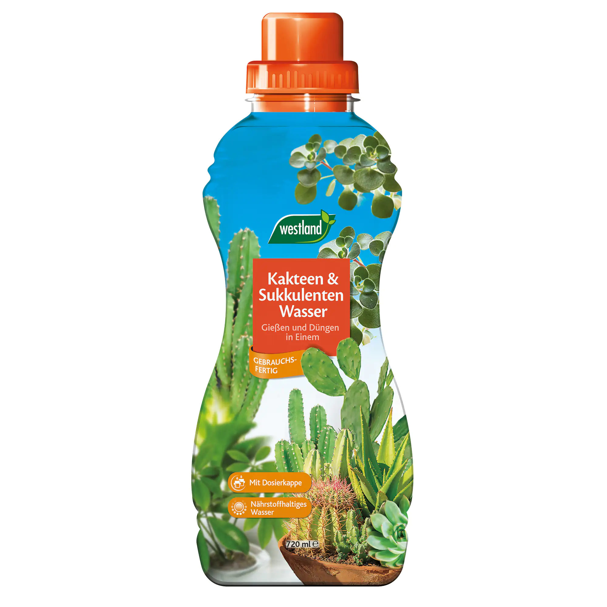 Westland Kakteen- & Sukkulenten Wasser 720 ml Westland Kakteen- & Sukkulenten Wasser 720 ml