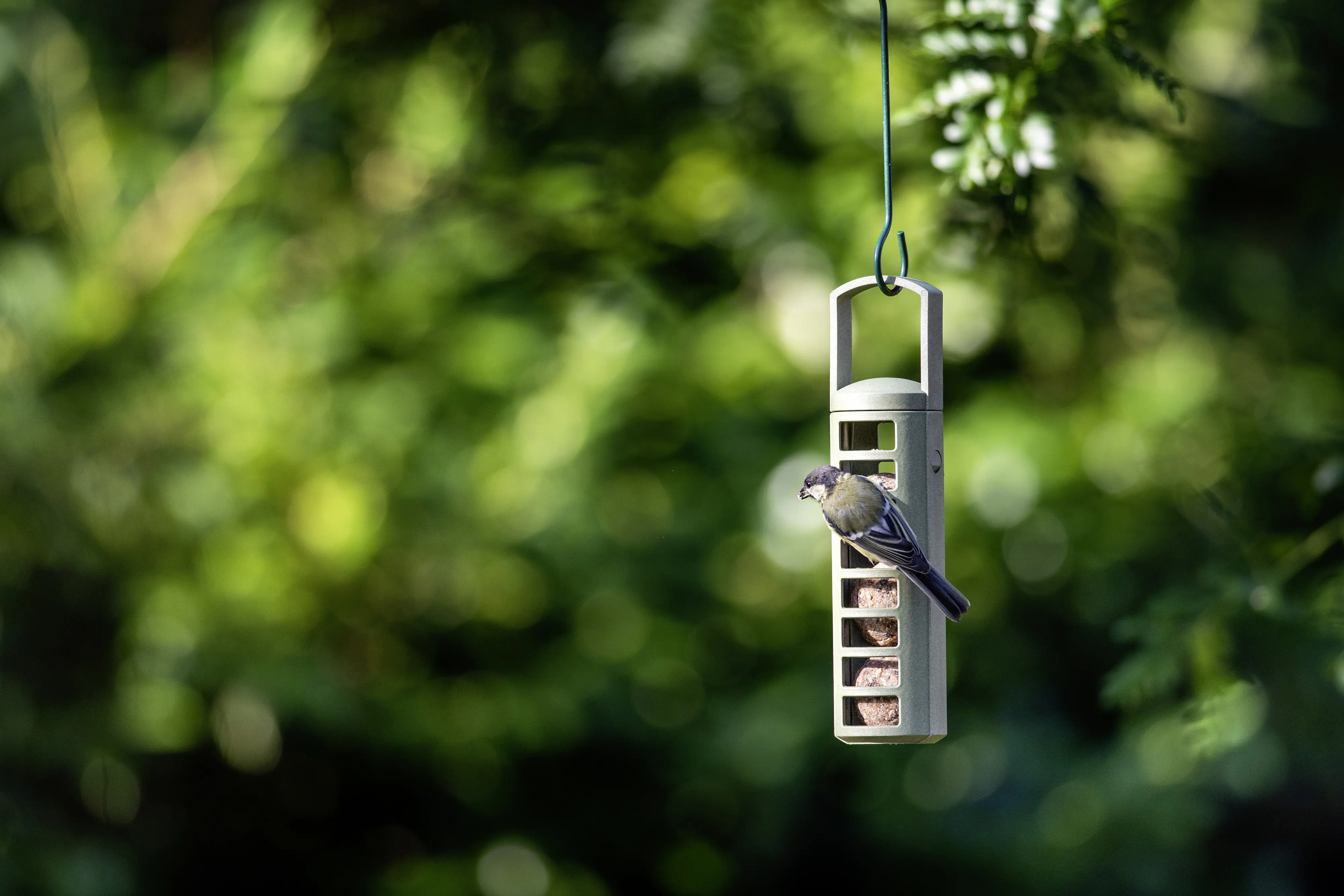 CJ Wildbird Meisenknödelhalter für Wildvögel CJ Wildbird Meisenknödelhalter für Wildvögel