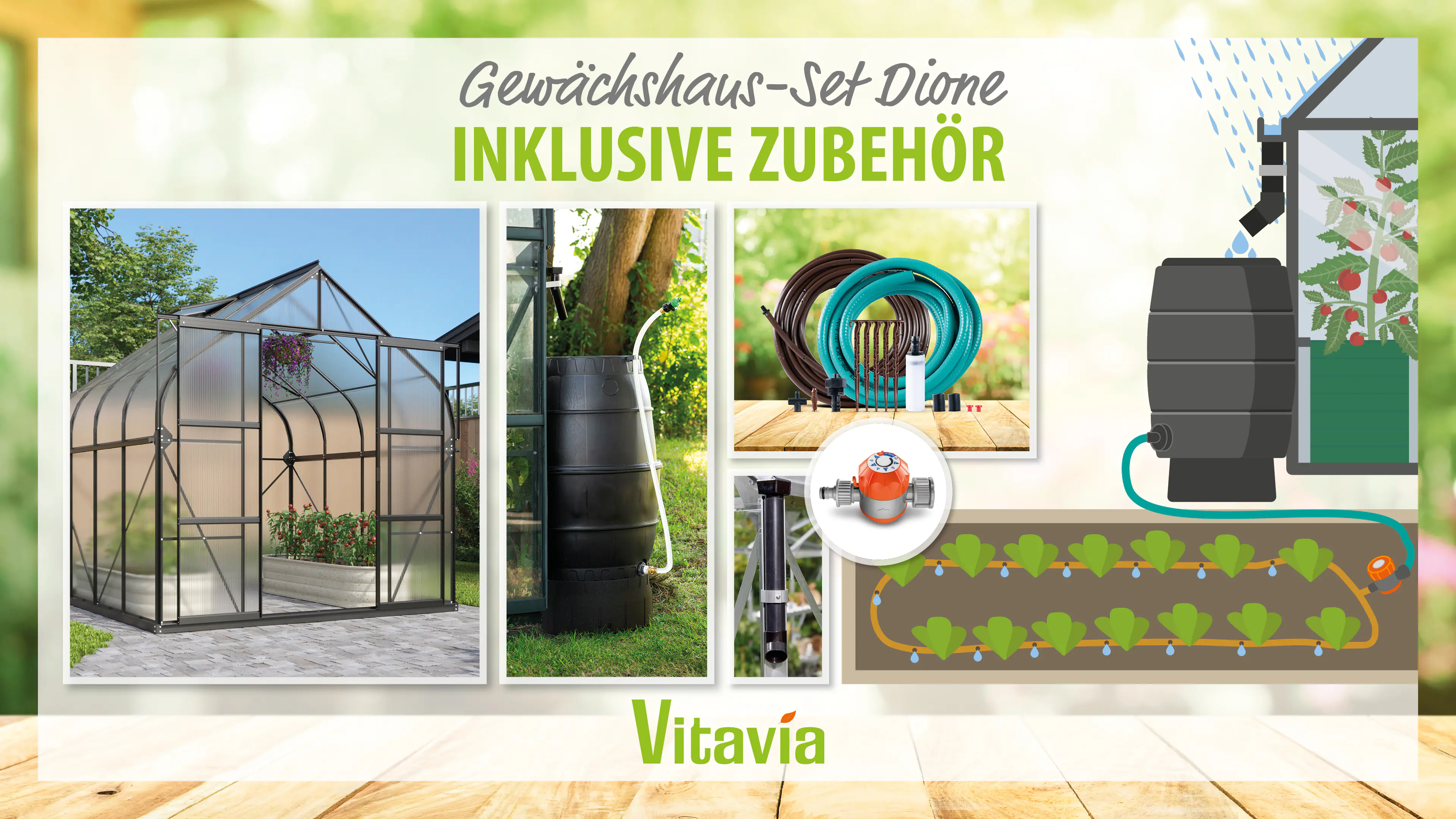Vitavia Gewächshaus-Set Dione 6700 HKP 4 mm schwarz 254 x 254 cm 