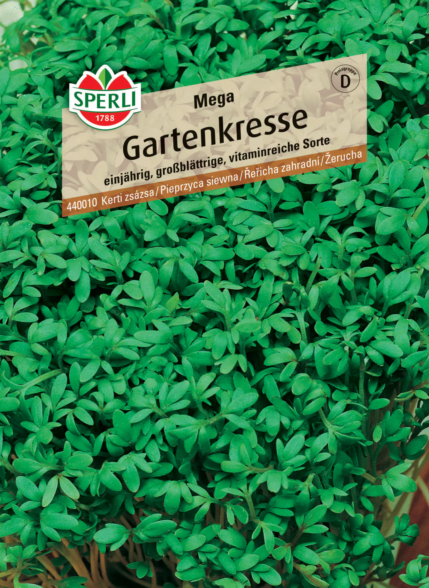 Sperli Gartenkresse Mega