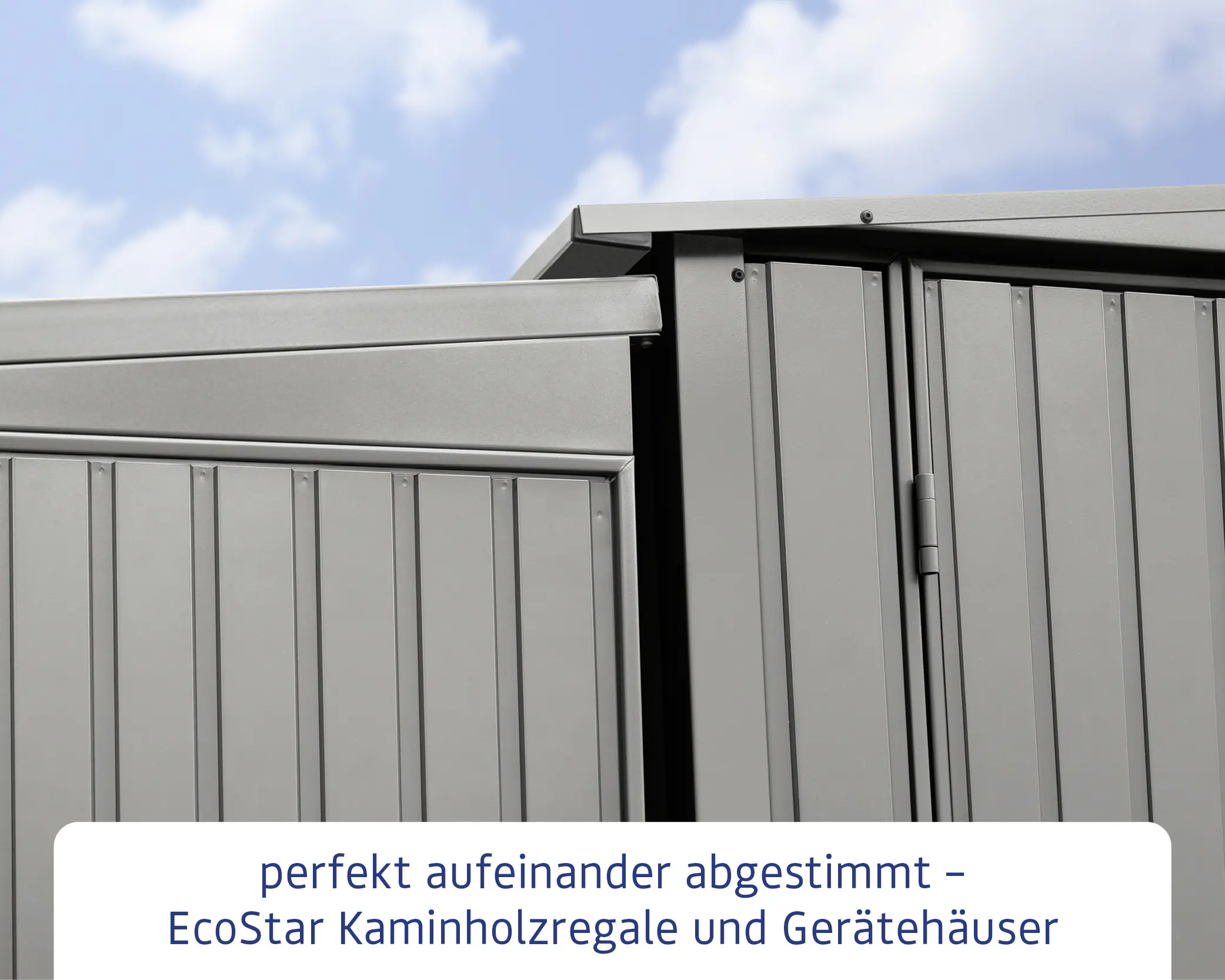 Ecostar Kaminholzregal Trend-V Typ 1, graualuminium, mit Verstrebung