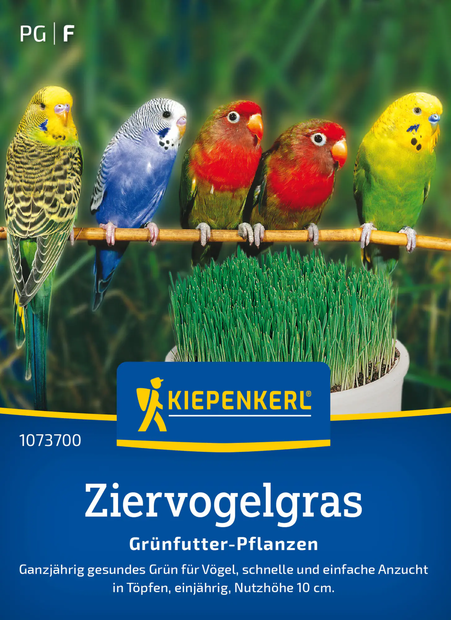 Kiepenkerl Rasensamen Ziervogelgras Frischgrün Mischung für ca. 1 m²