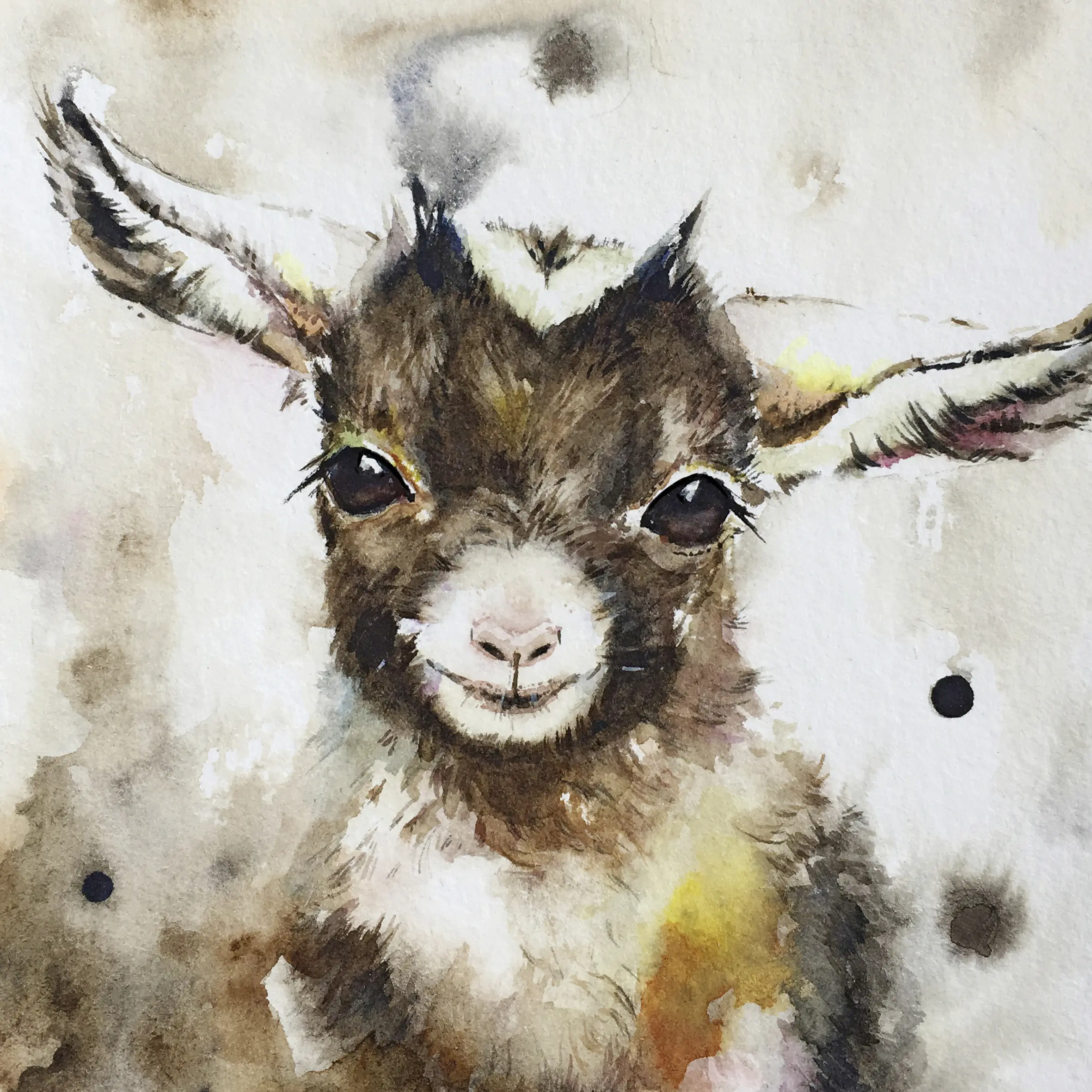 Keilrahmenbild Ziege 30 x 30 cm