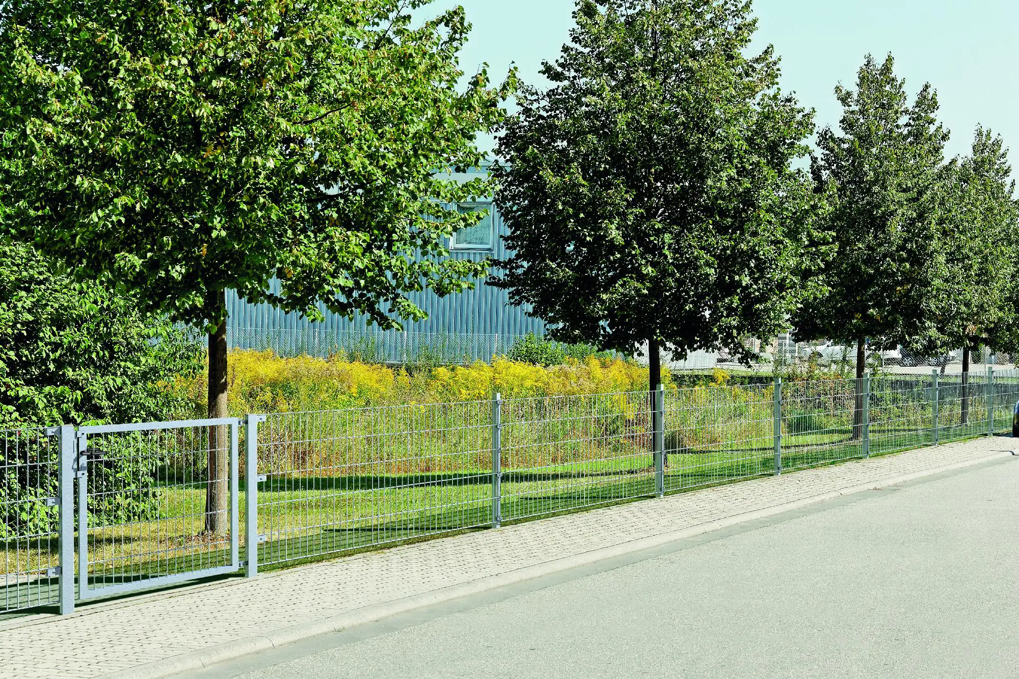 Alberts Doppelstabmatten-Grundset 10 m 250 x 163 cm 6/5/6 feuerverzinkt Alberts Doppelstabmatten-Grundset 10 m 250 x 163 cm 6/5/6 feuerverzinkt