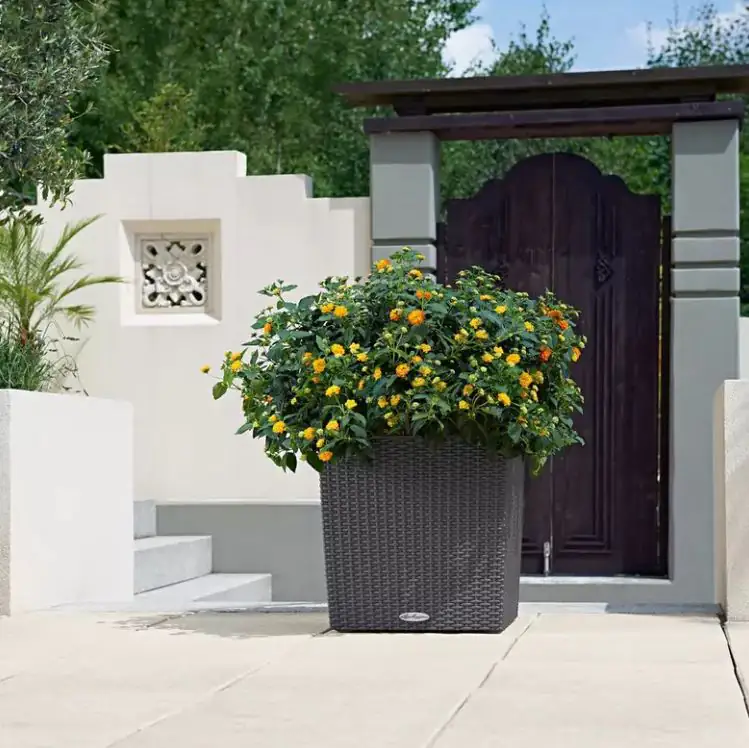 Lechuza Pflanzgefäß Cube Cottage 40 granit