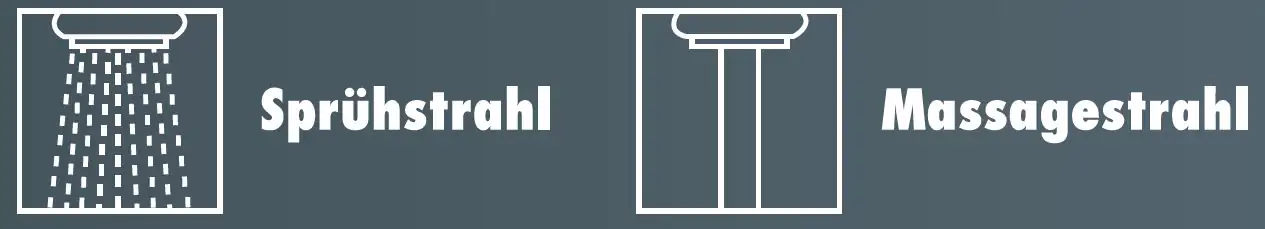 Primaster Geschirrbrause 2 Strahlarten Bern chrom Primaster Geschirrbrause 2 Strahlarten Bern chrom