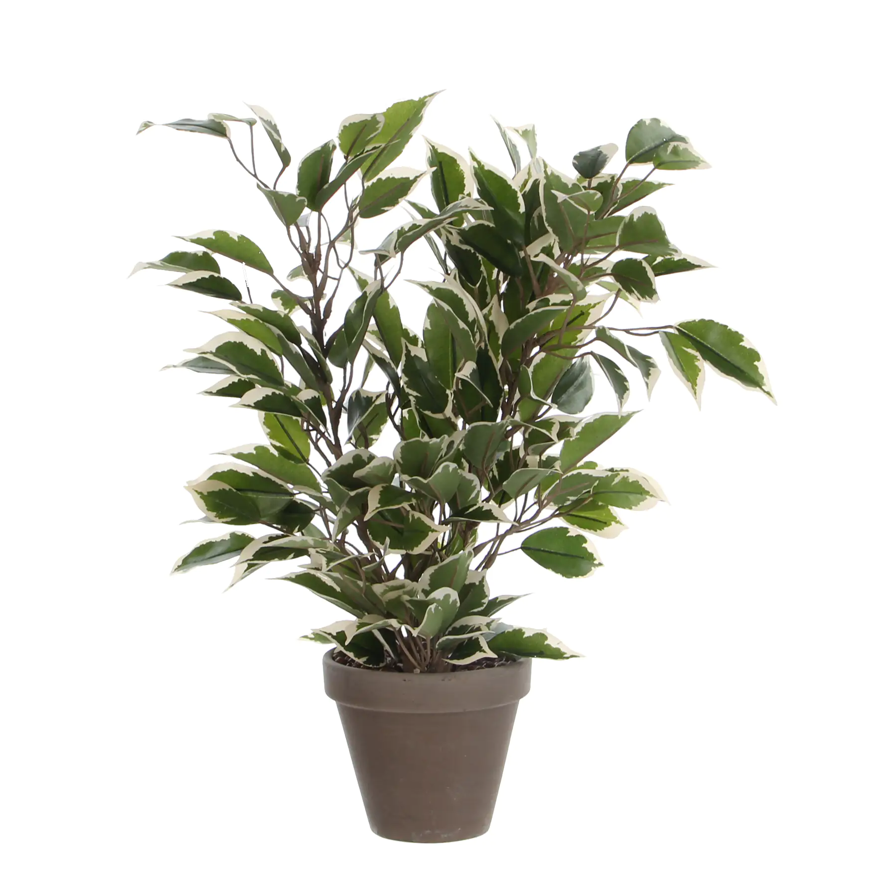 Mica Kunstpflanze Ficus Natasja grün bunt im Topf 40 x 30 cm