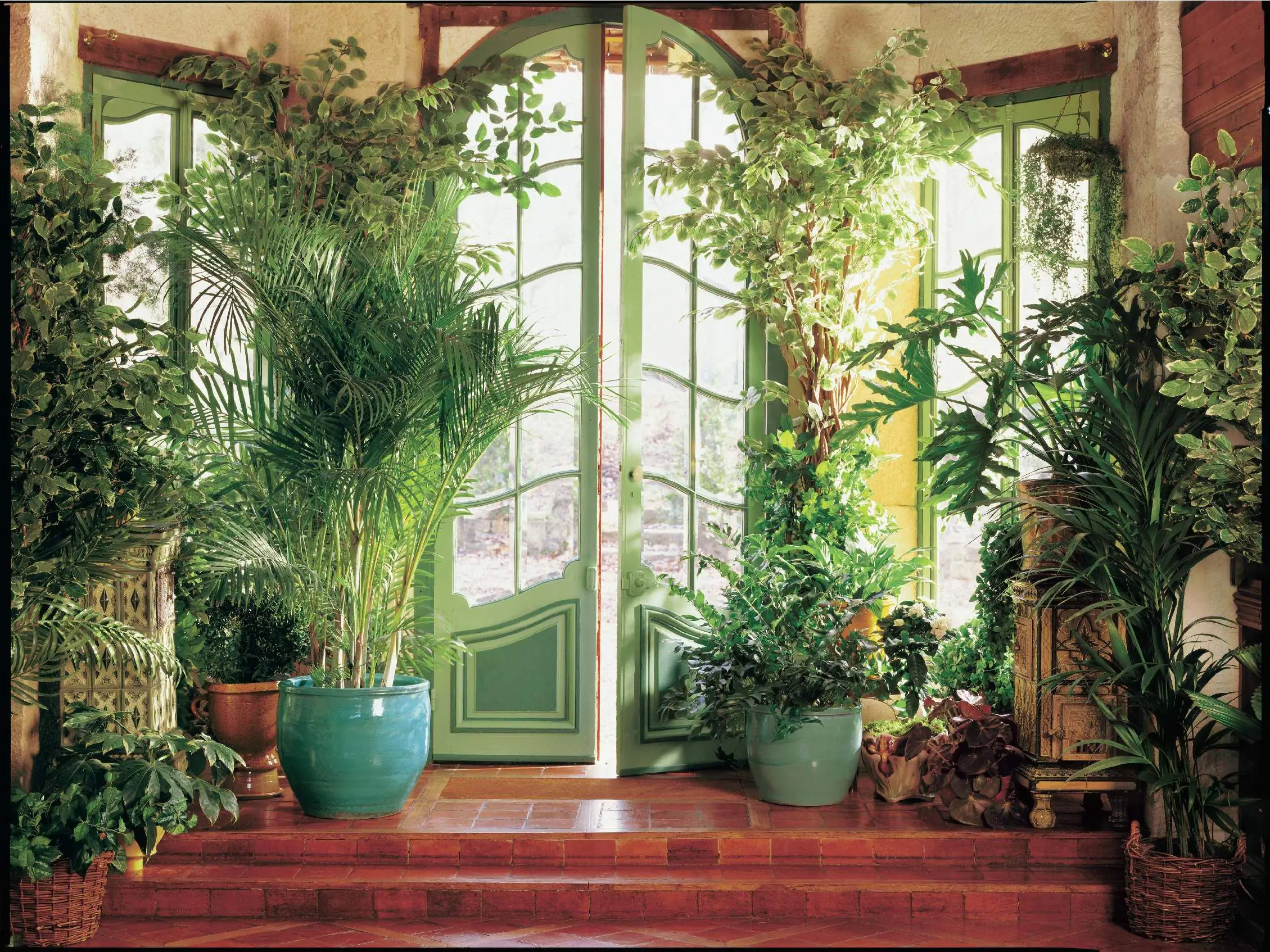 papermoon Vlies- Fototapete Digitaldruck 350 x 260 cm Larit Jardin