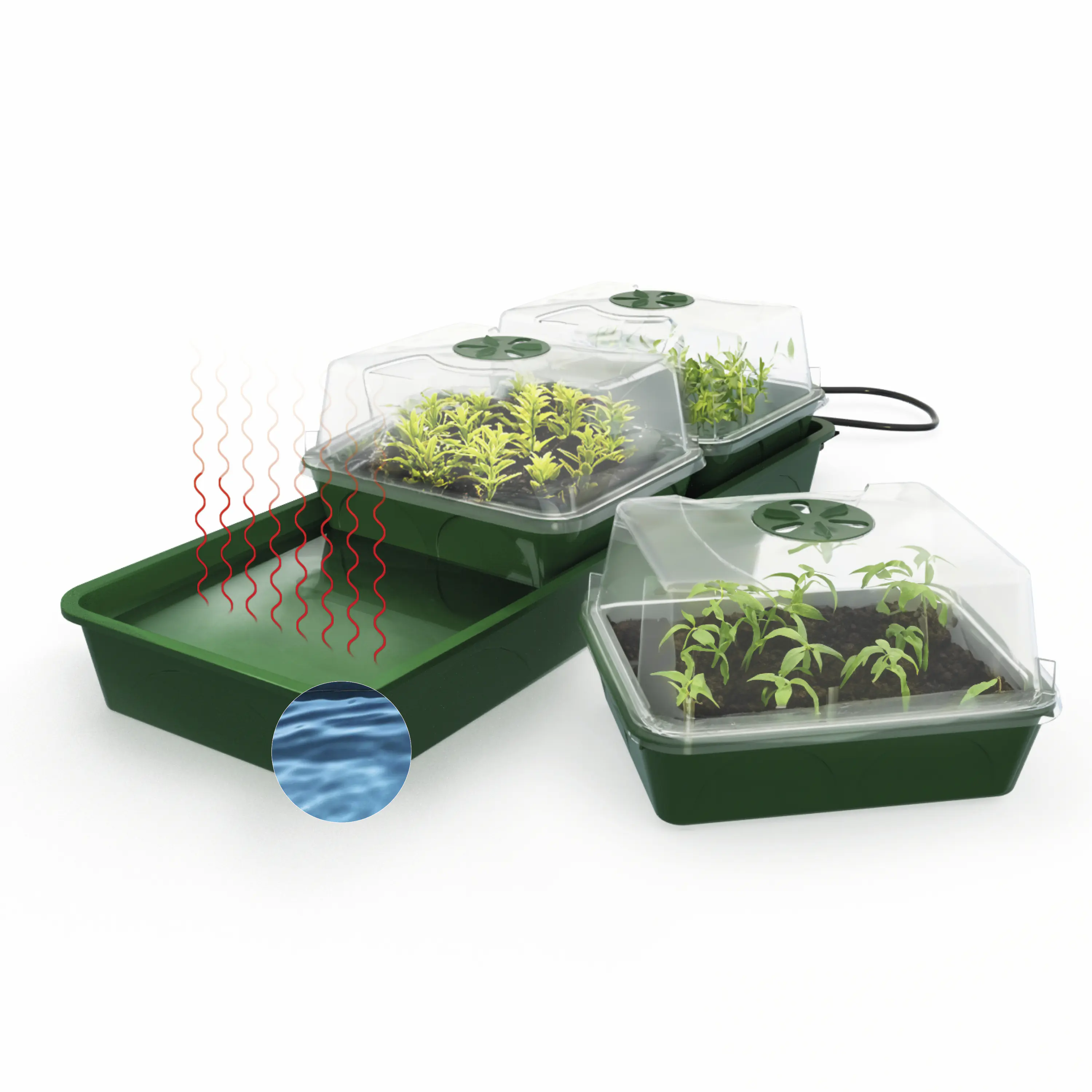 BioGreen Anzuchtstation Hollandia grün/schwarz 54 x 21 cm mit 3 Klimakammern beheizbar