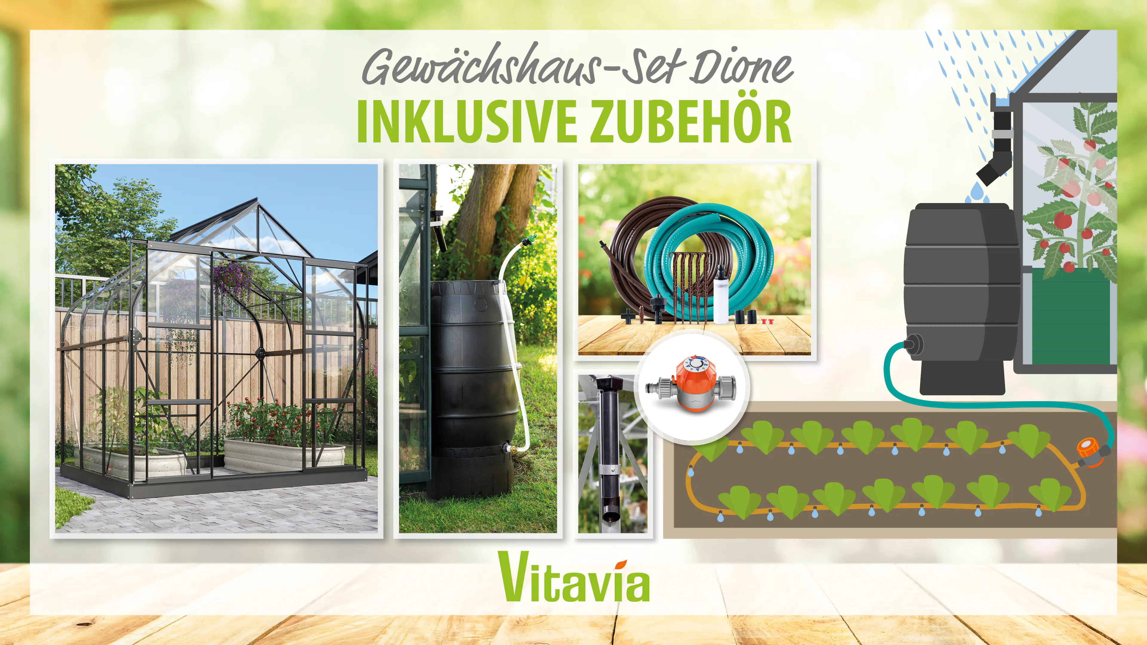 Vitavia Gewächshaus-Set-Set Dione 5000 ESG 3 mm schwarz 254 x 192 cm