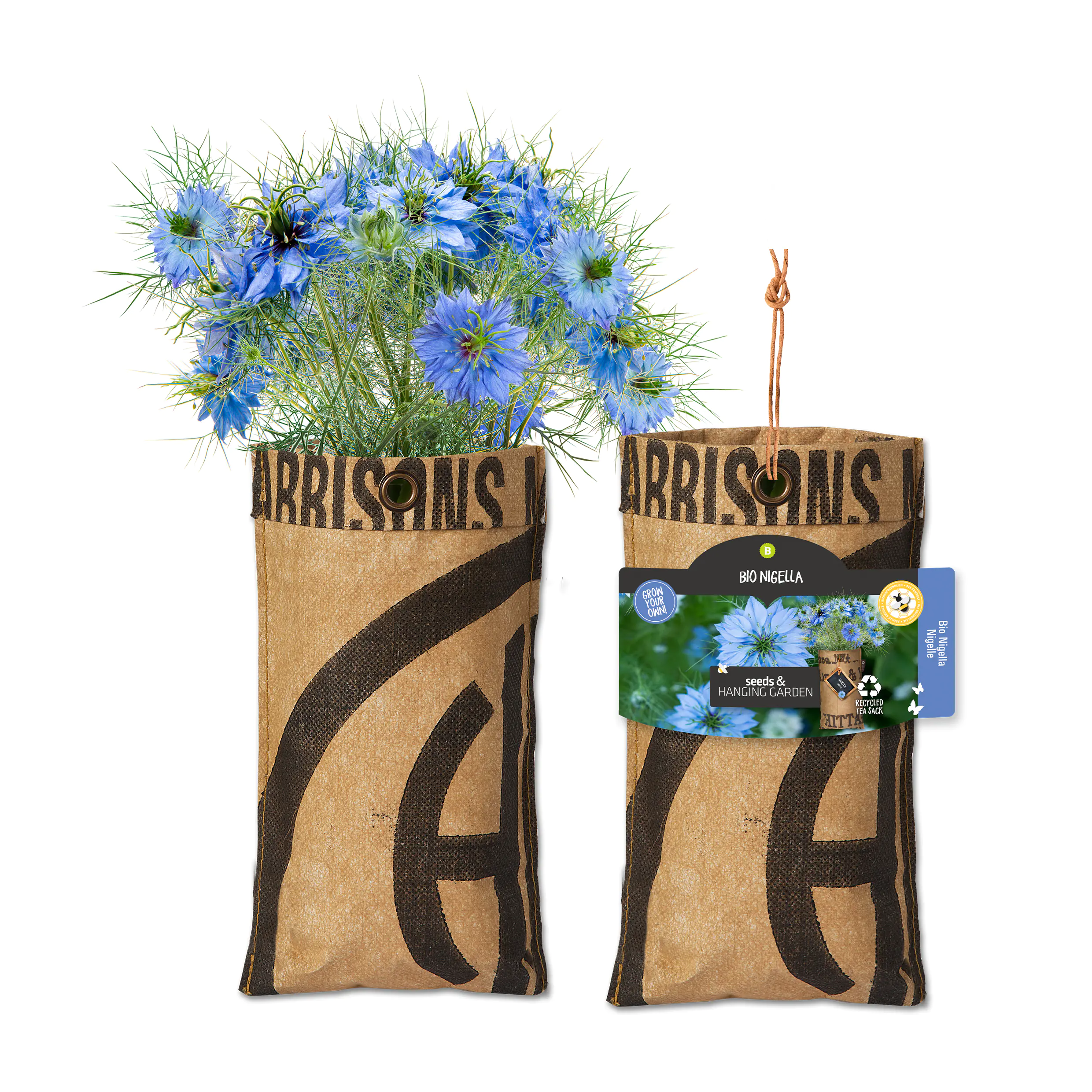 Baza Seeds hängender Garten Bio Nigelle/Schwarzkümmel