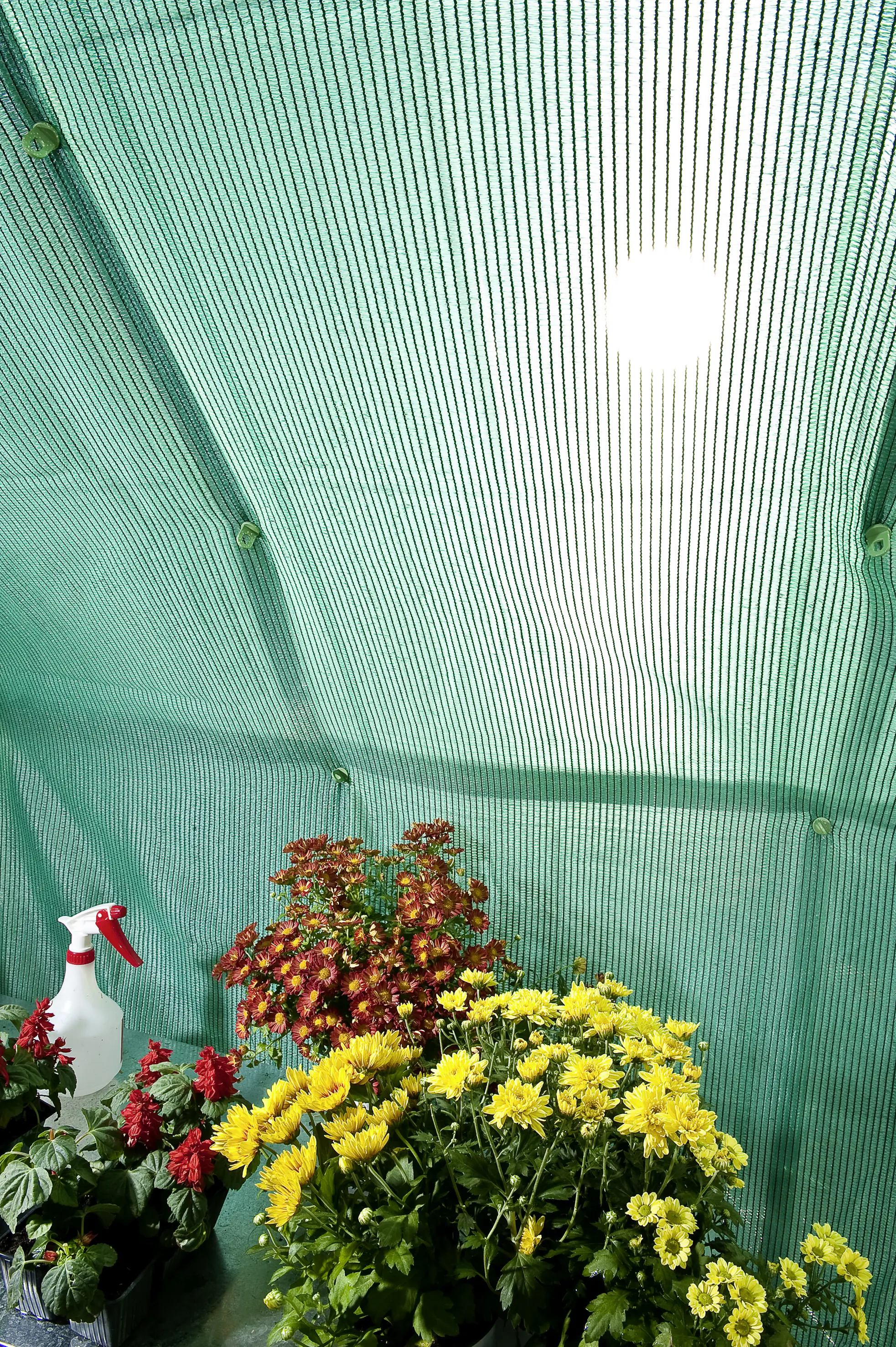 Canopia Schatten-Netz