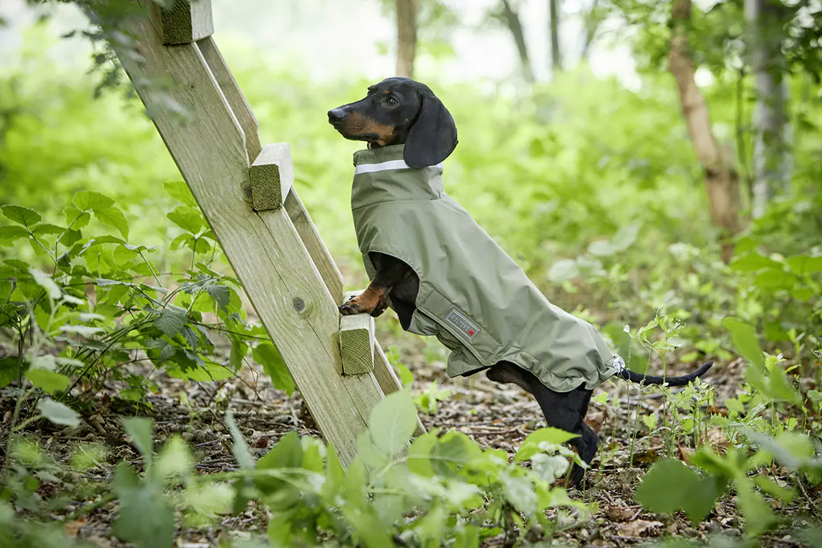 Wolters Hundebekleidung Outdoorjacke Modern Classic für Dackel olive