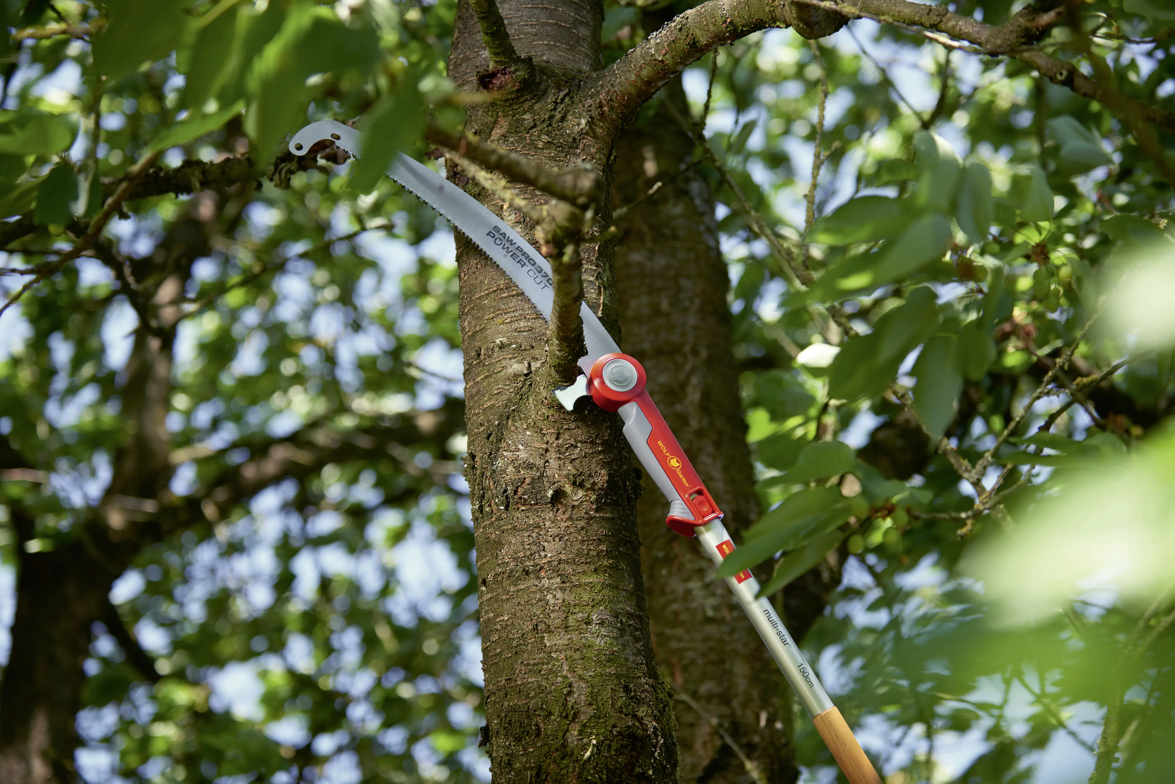 Wolf Garten Astsäge POWER CUT SAW PRO 370 37 cm Sägeblatt Wolf Garten Astsäge POWER CUT SAW PRO 370 37 cm Sägeblatt