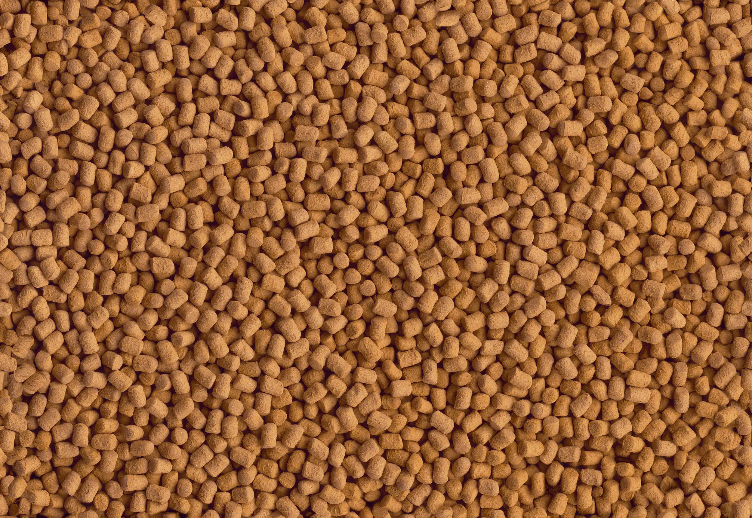 Tetra Cichlid ShrimpSticks 250 ml