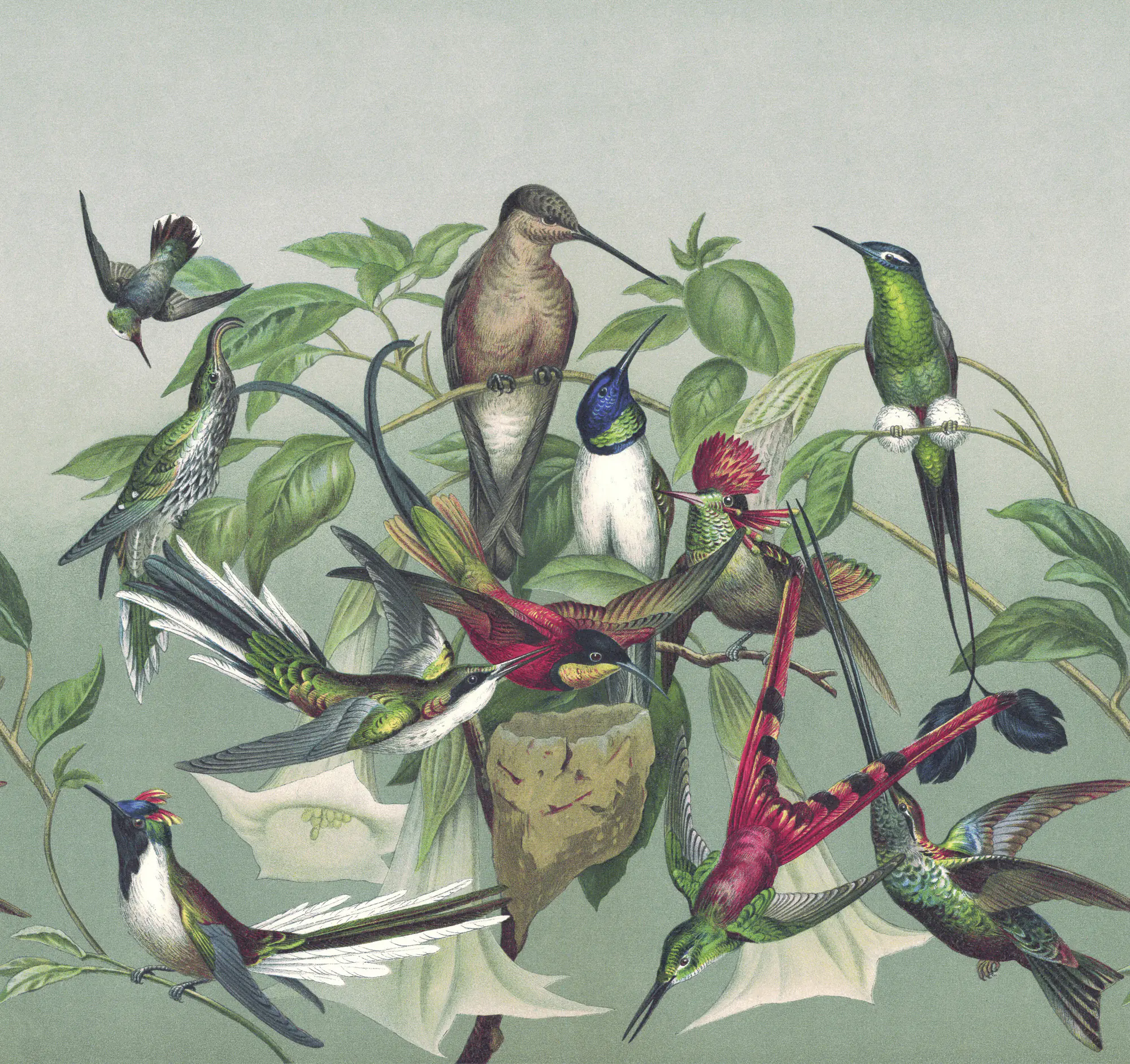 Rasch Vlies Fototapete 543544 Blau-Petrol hell Muster & Motive 3 m x 3,18 m