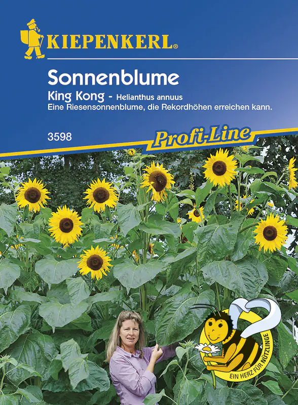 Kiepenkerl Sonnenblume King Kong Helianthus annuus, Inhalt: ca. 15 Pflanzen