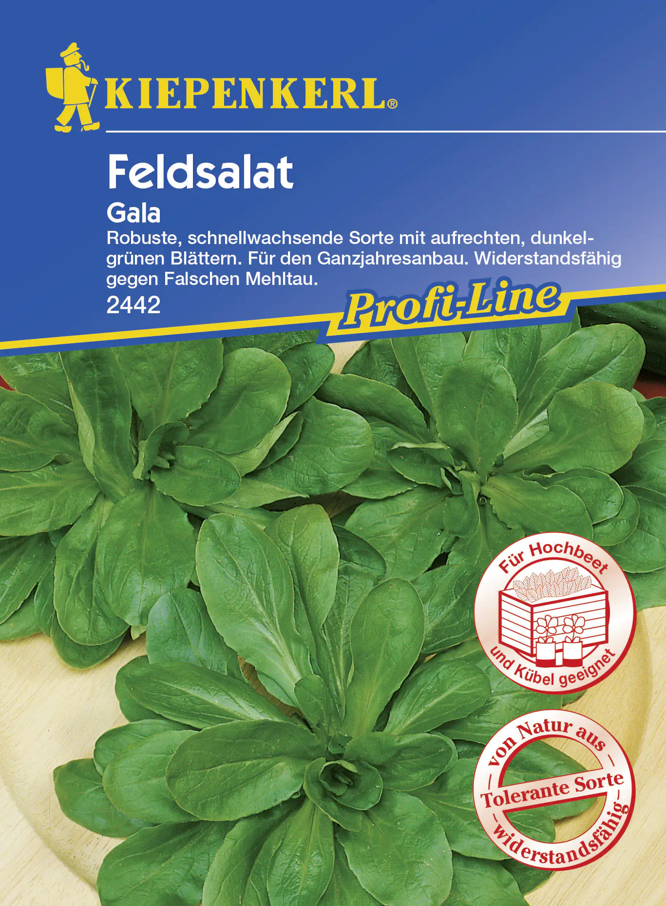 Kiepenkerl Feldsalat Gala Valerianella locusta, Inhalt: ca. 5 lfd. Meter Kiepenkerl Feldsalat Gala Valerianella locusta, Inhalt: ca. 5 lfd. Meter