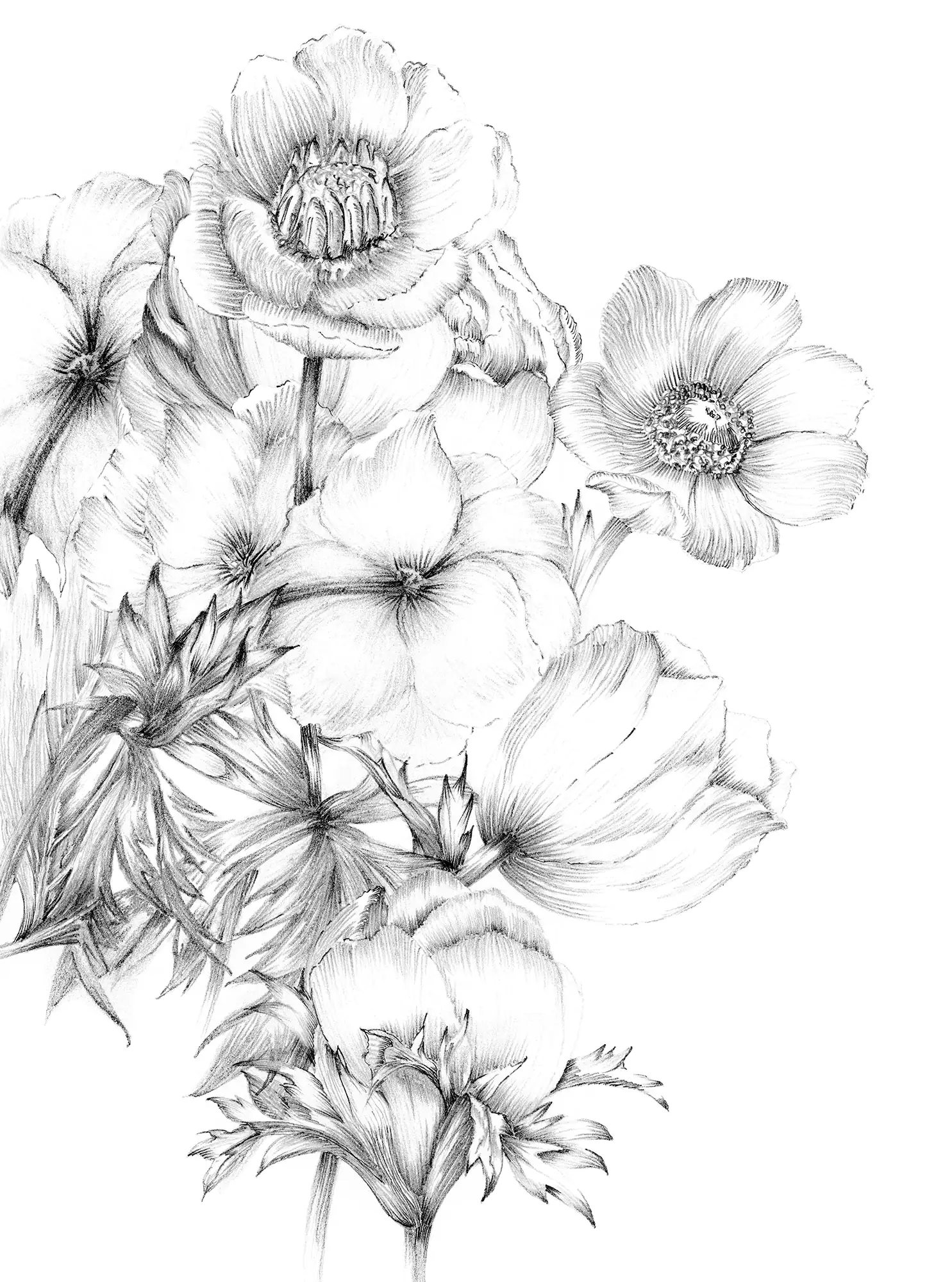 Komar Vlies Fototapete Embroidery 184 x 248 cm 