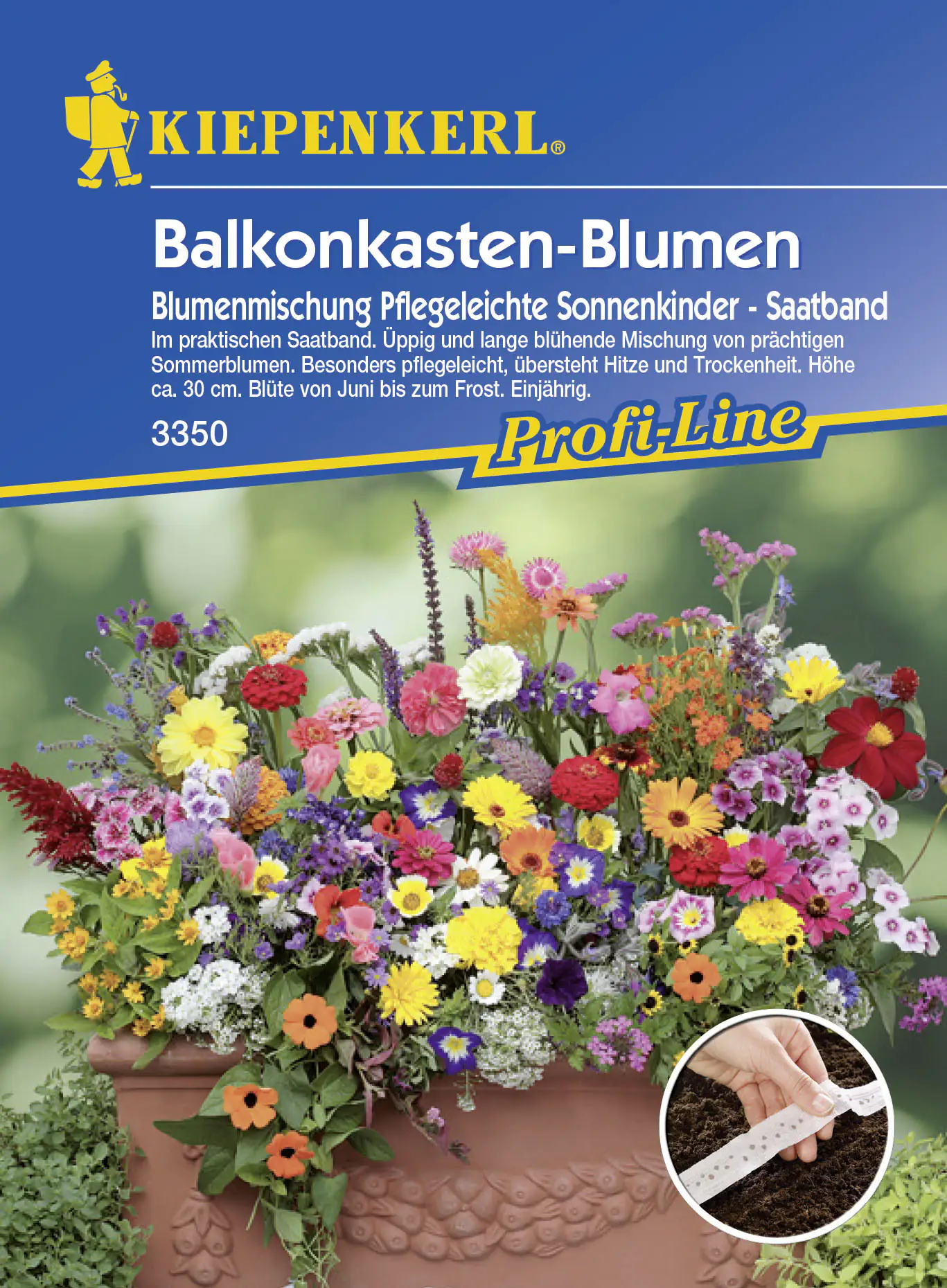 Kiepenkerl Balkonkasten-Blumen Pflegeleichte Sonnenkinder Inhalt: ca. 5 lfd. Meter