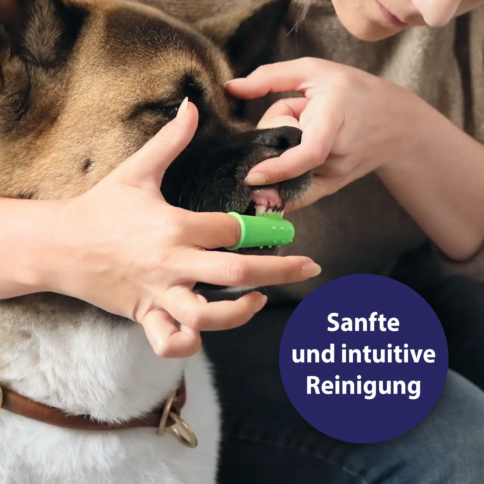 Canosept Zahnpflege Finger-Bürsten für Hunde 3 Stück Canosept Zahnpflege Finger-Bürsten für Hunde 3 Stück