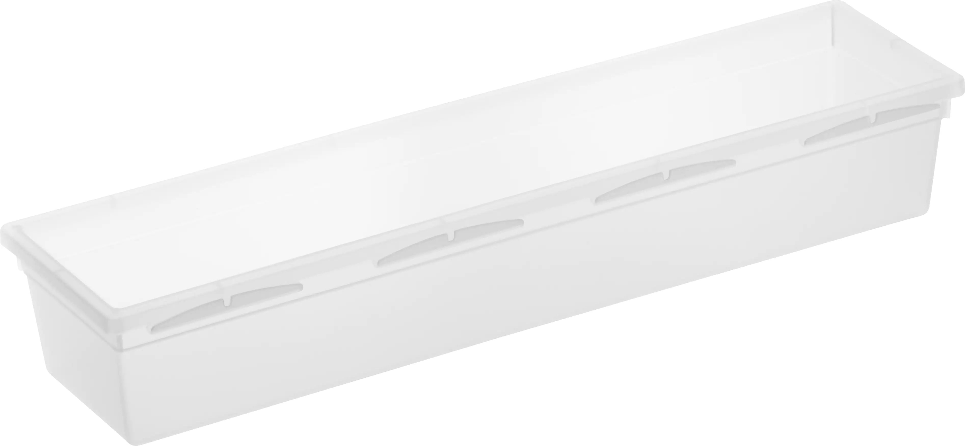 Rotho Ordnungssystem Basic 30 x 8 x 5 cm, transparent