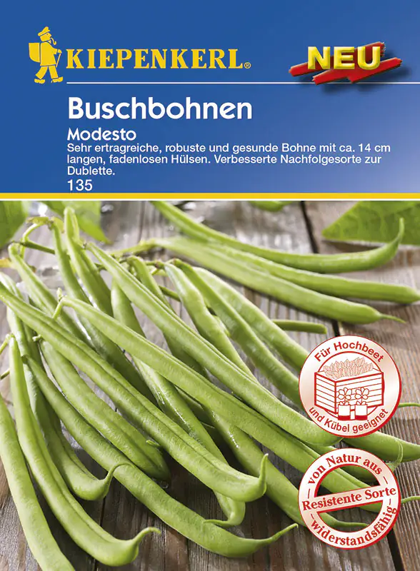 Kiepenkerl Buschbohne Modesto Phaseolus vulgaris, Inhalt: 6 Ifd. Meter