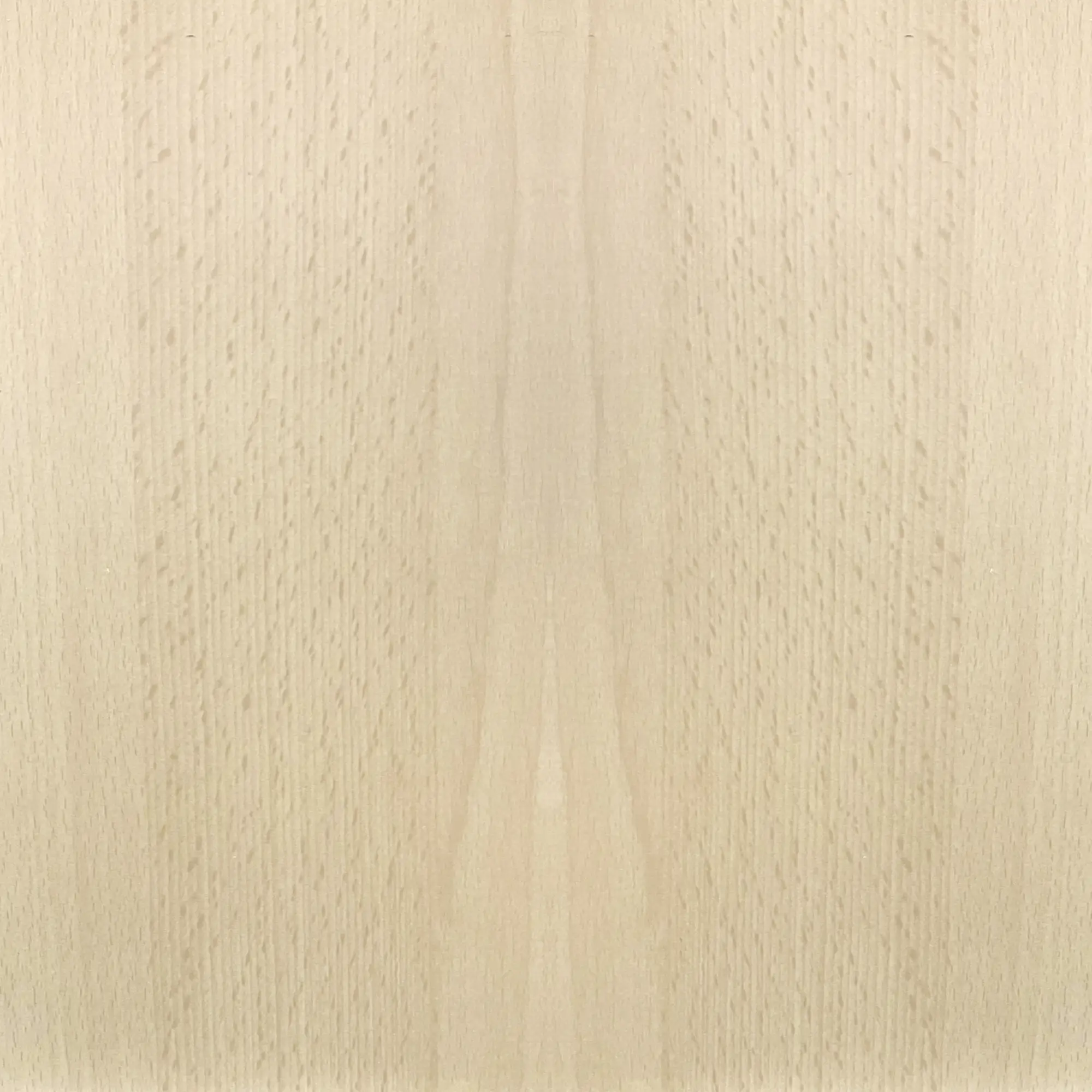 FN Neuhofer Flachleiste 210 cm 30 x 5 mm Buche