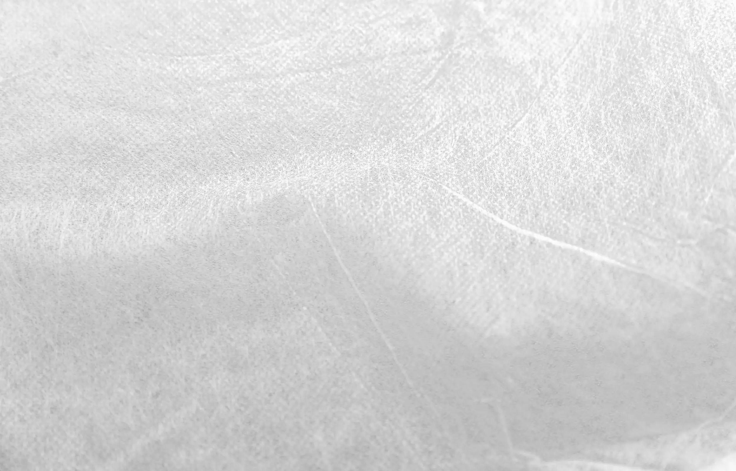 TrendLine Frühbeetvlies 1,5 x 10 m