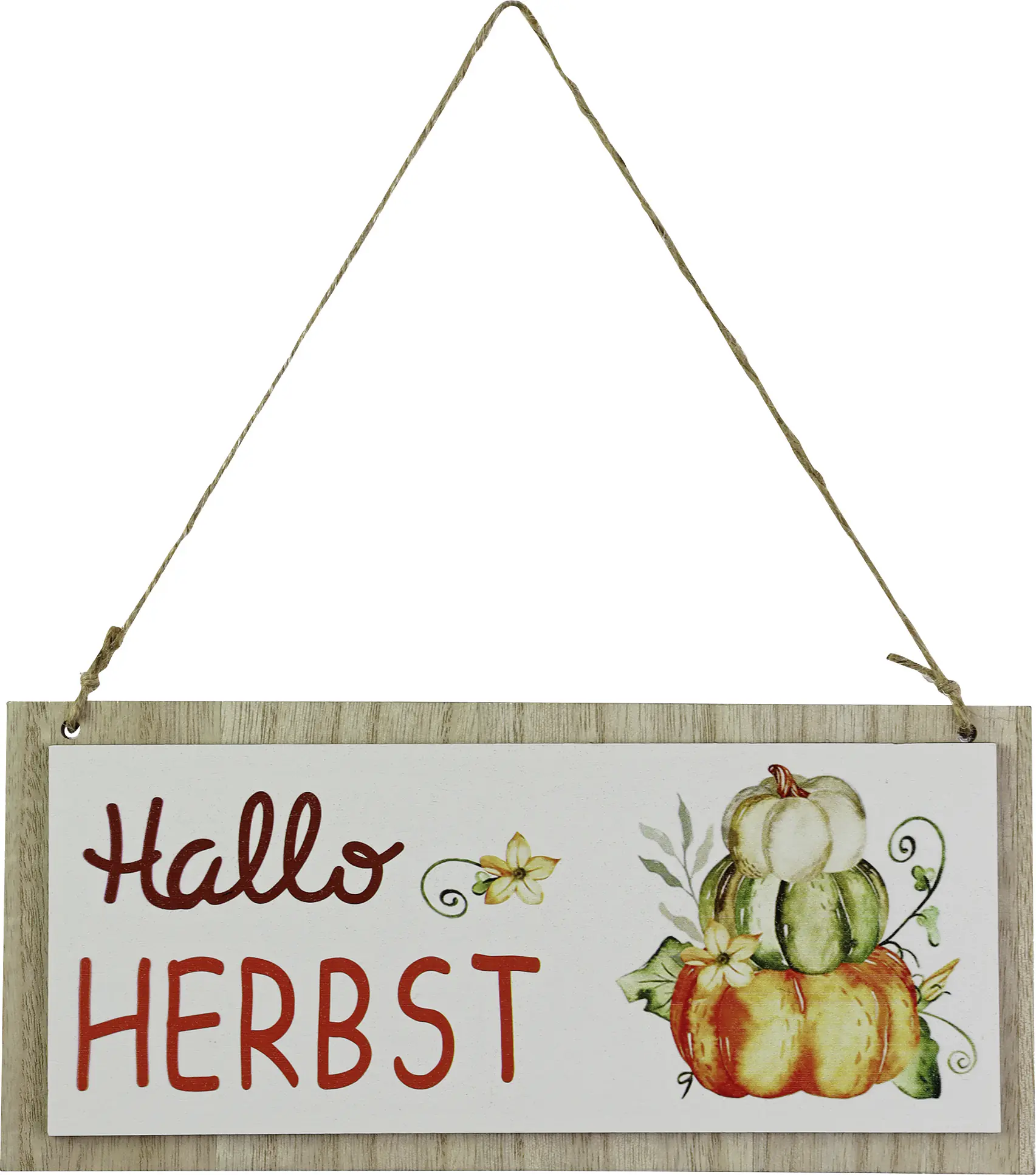 Türschild Hallo Herbst Holz 22 x 10 cm natur bunt