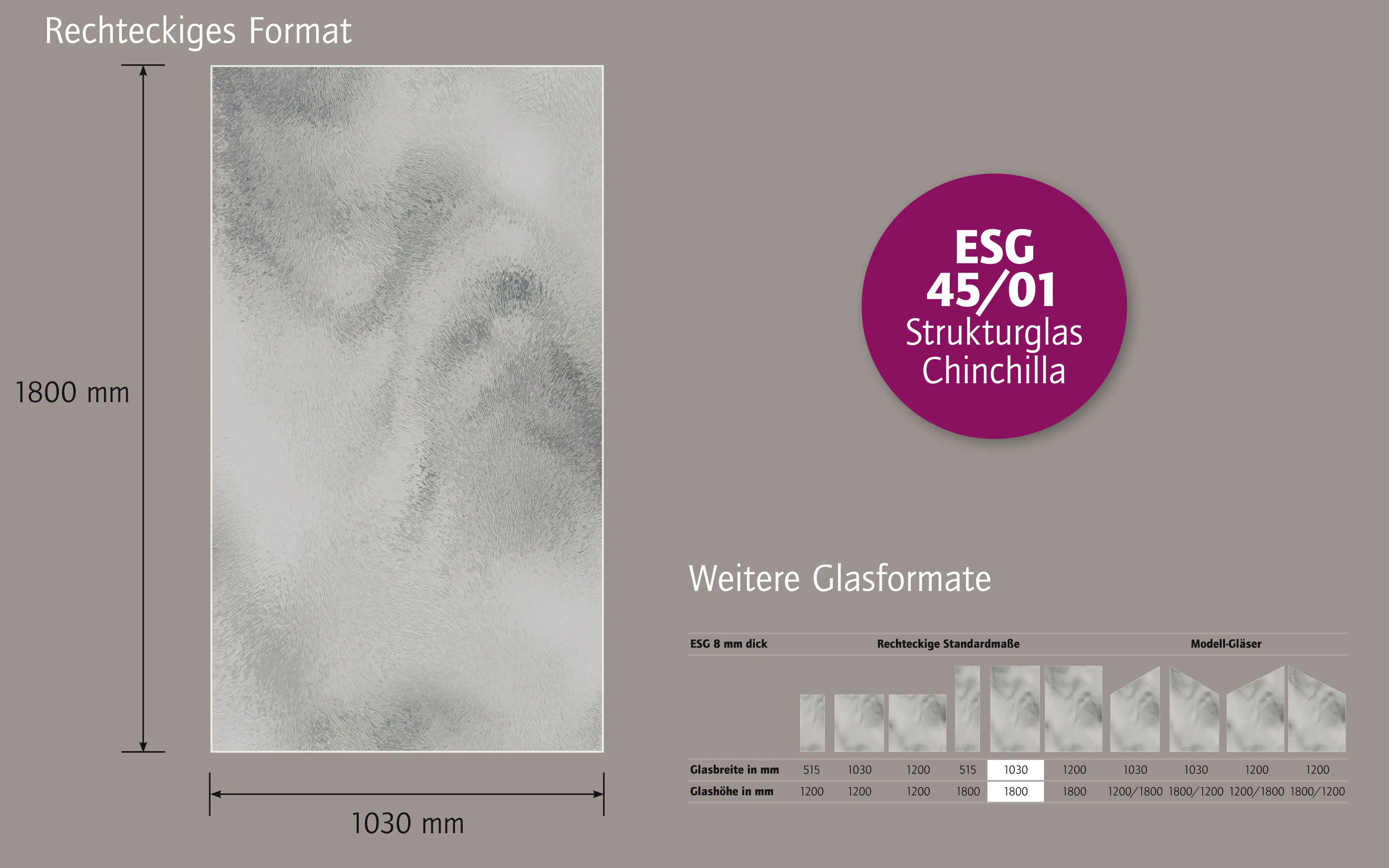 Ambiente Glaszaun B x H: 103 cm x 180 cm, gehärtetes 8 mm Glas Ambiente Glaszaun B x H: 103 cm x 180 cm, gehärtetes 8 mm Glas
