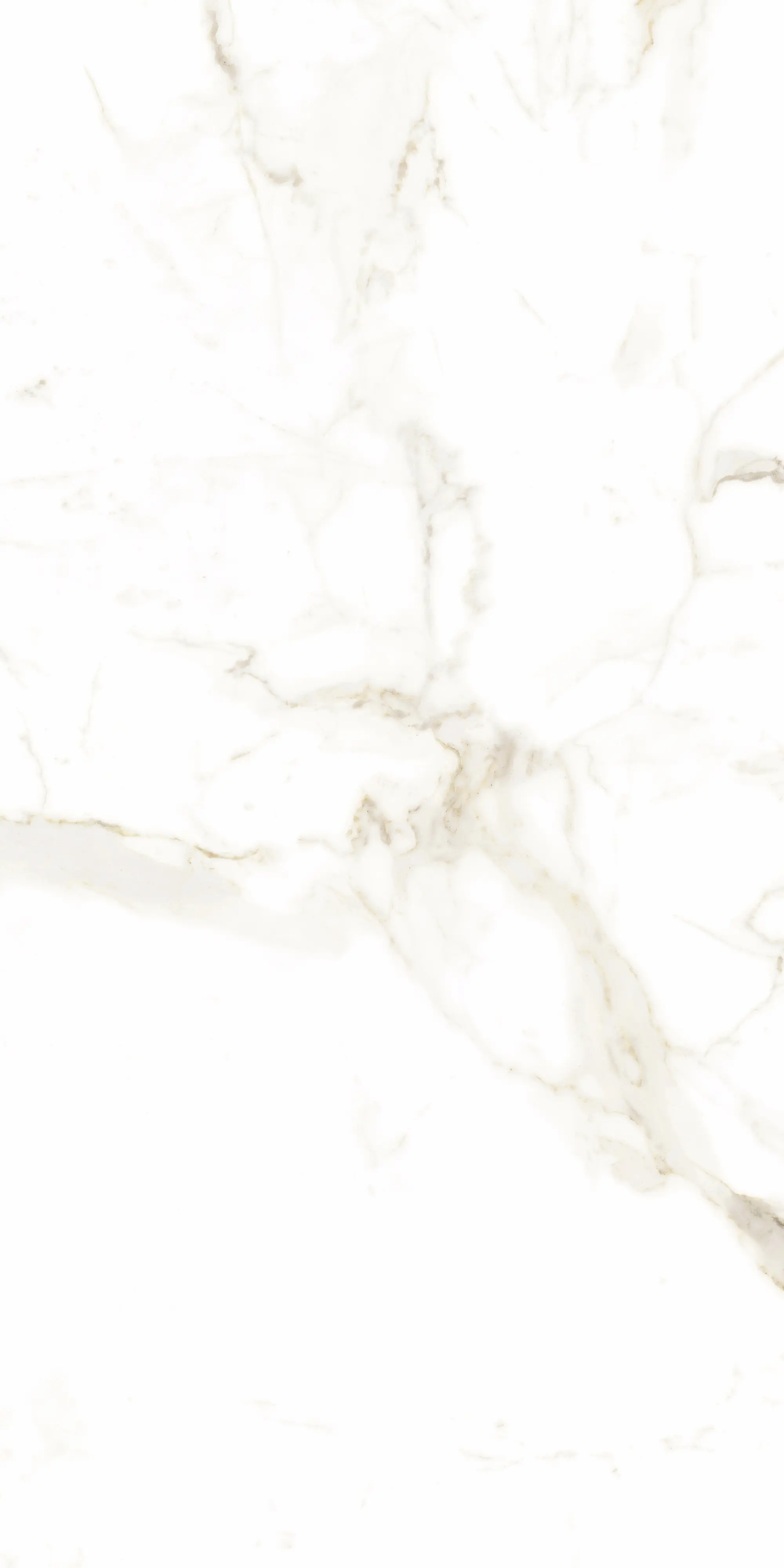 Bodenfliese Feinsteinzeug Alcora 60 x 120 cm weiß/gold