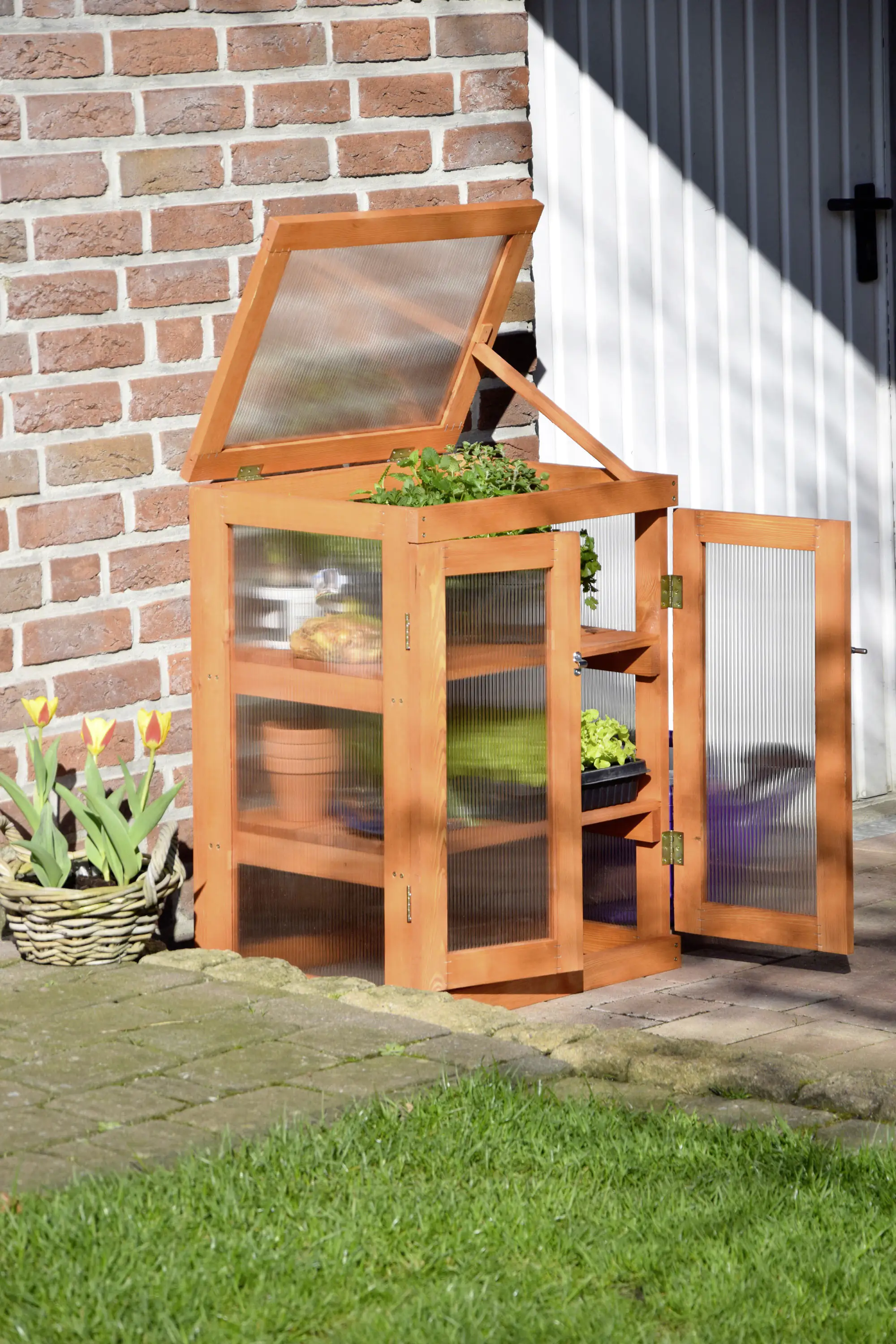 4042085291672_3169487 Dobar Mini-Gewächshaus 58x43x76 cm