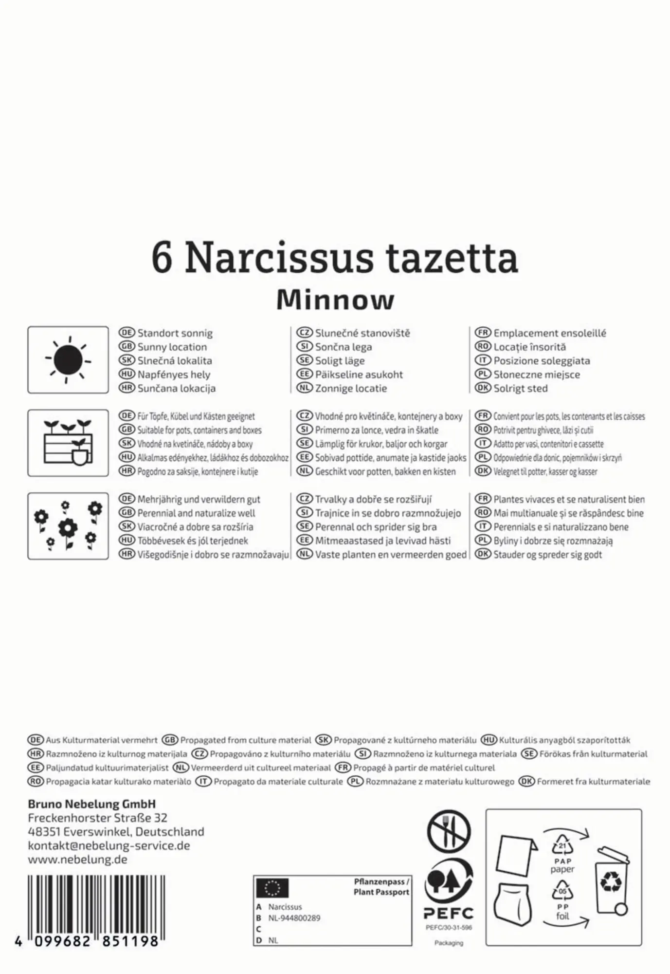 Kiepenkerl Herbstblumenzwiebel Tazetten-Narzisse Minnow 6 Stück