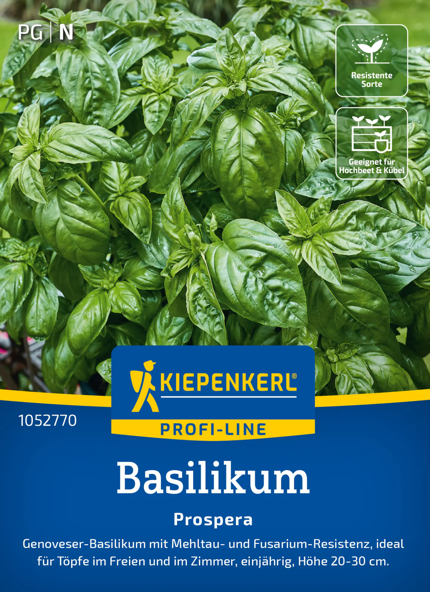 Kiepenkerl Profi-Line Saatgut Basilikum Prospera F1 für ca. 50 Pflanzen