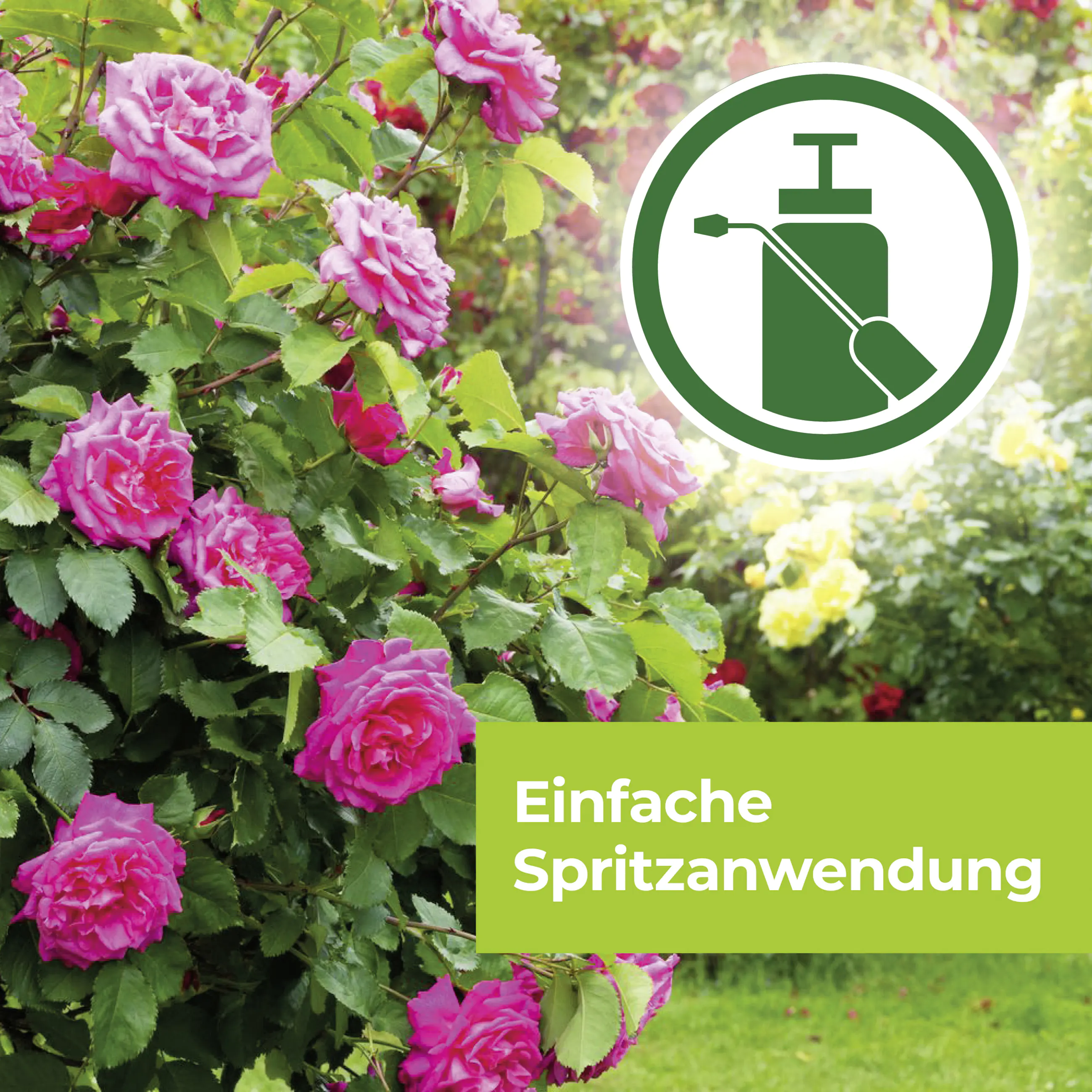 Protect Garden Curamat AZ Rosen-Pilzfrei 15 ml Protect Garden Curamat AZ Rosen-Pilzfrei 15 ml